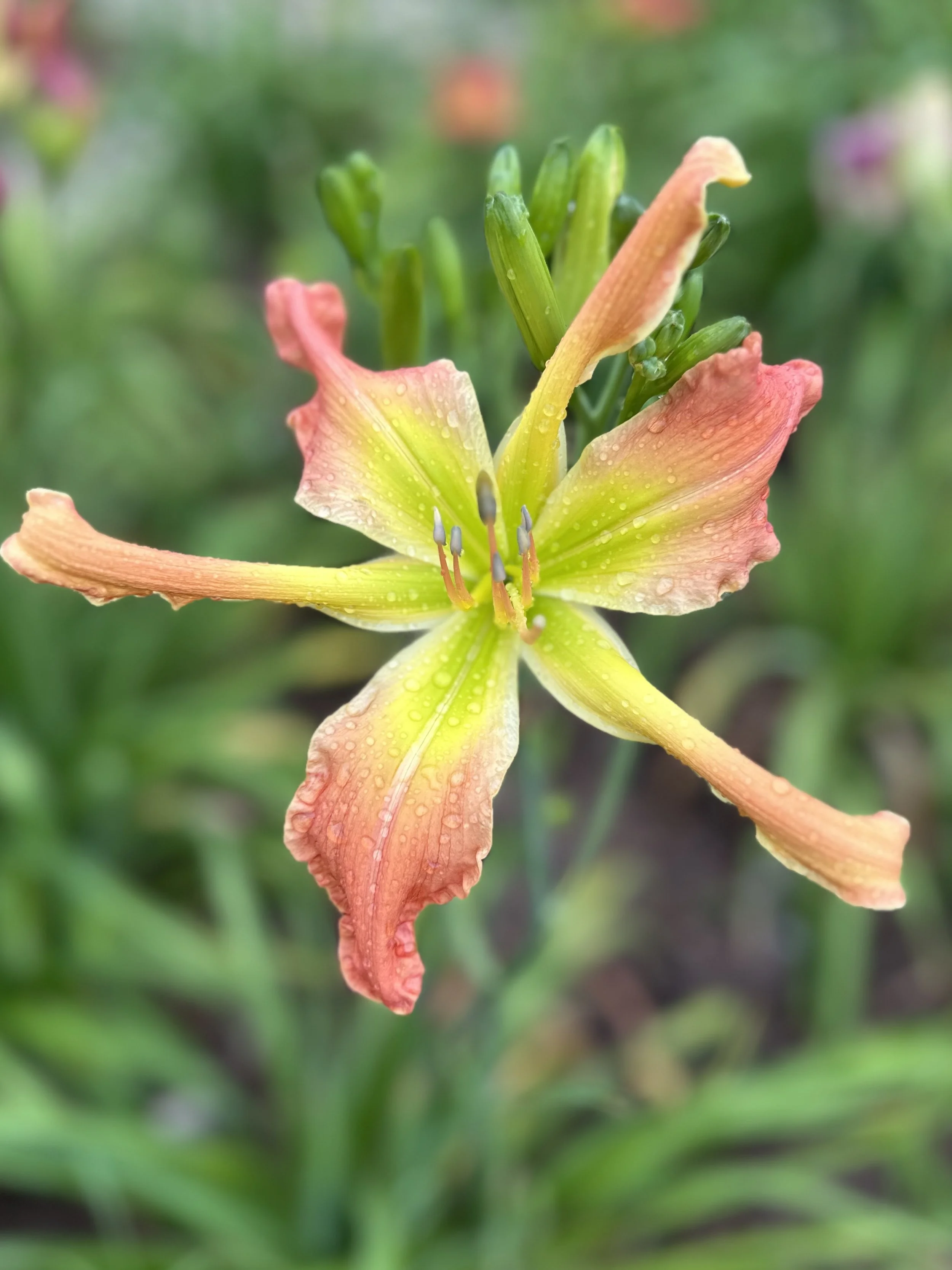 Outside The Beltway3.jpg