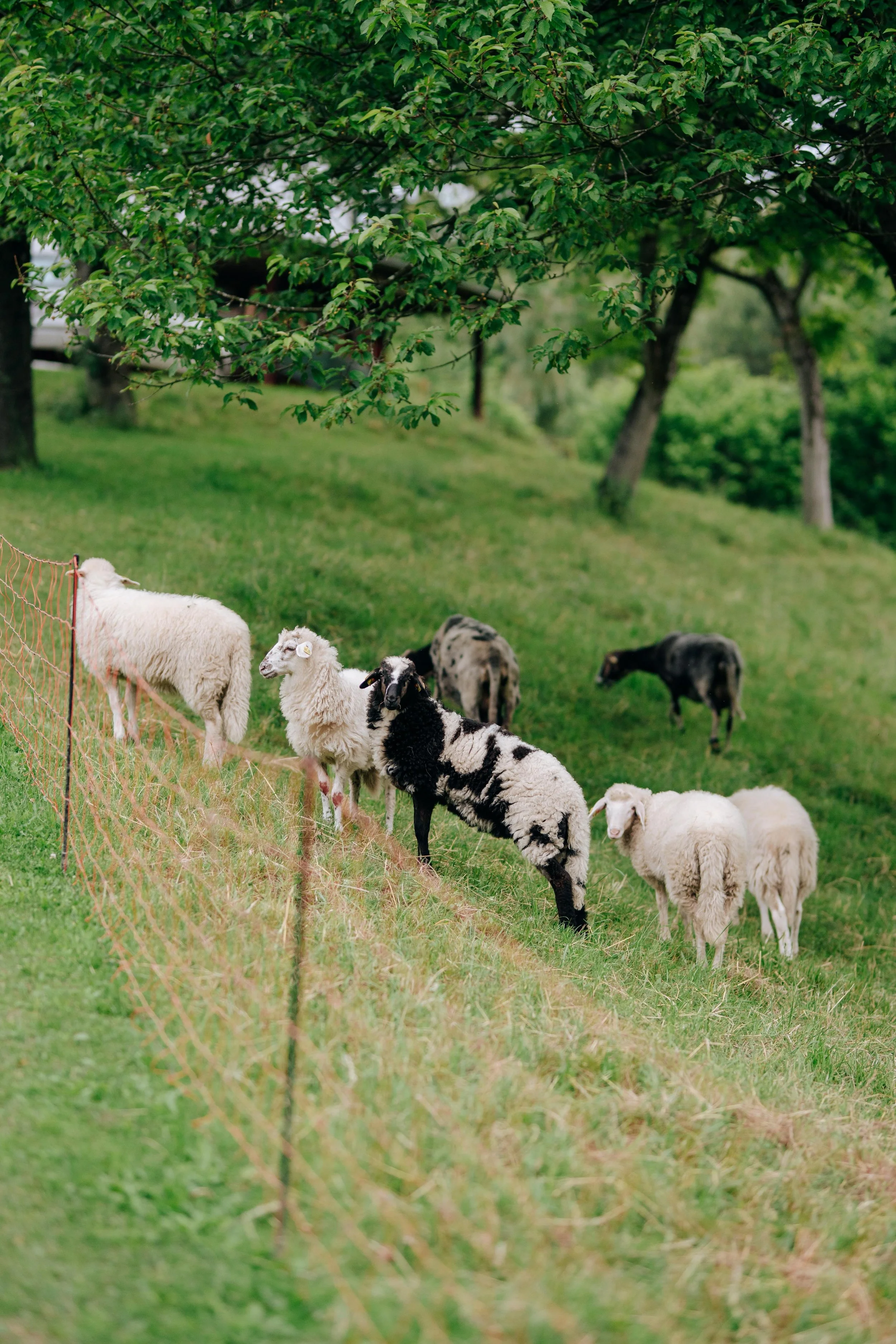 WhatsApp Image 2025-07-22 at 12.22.53.jpeg