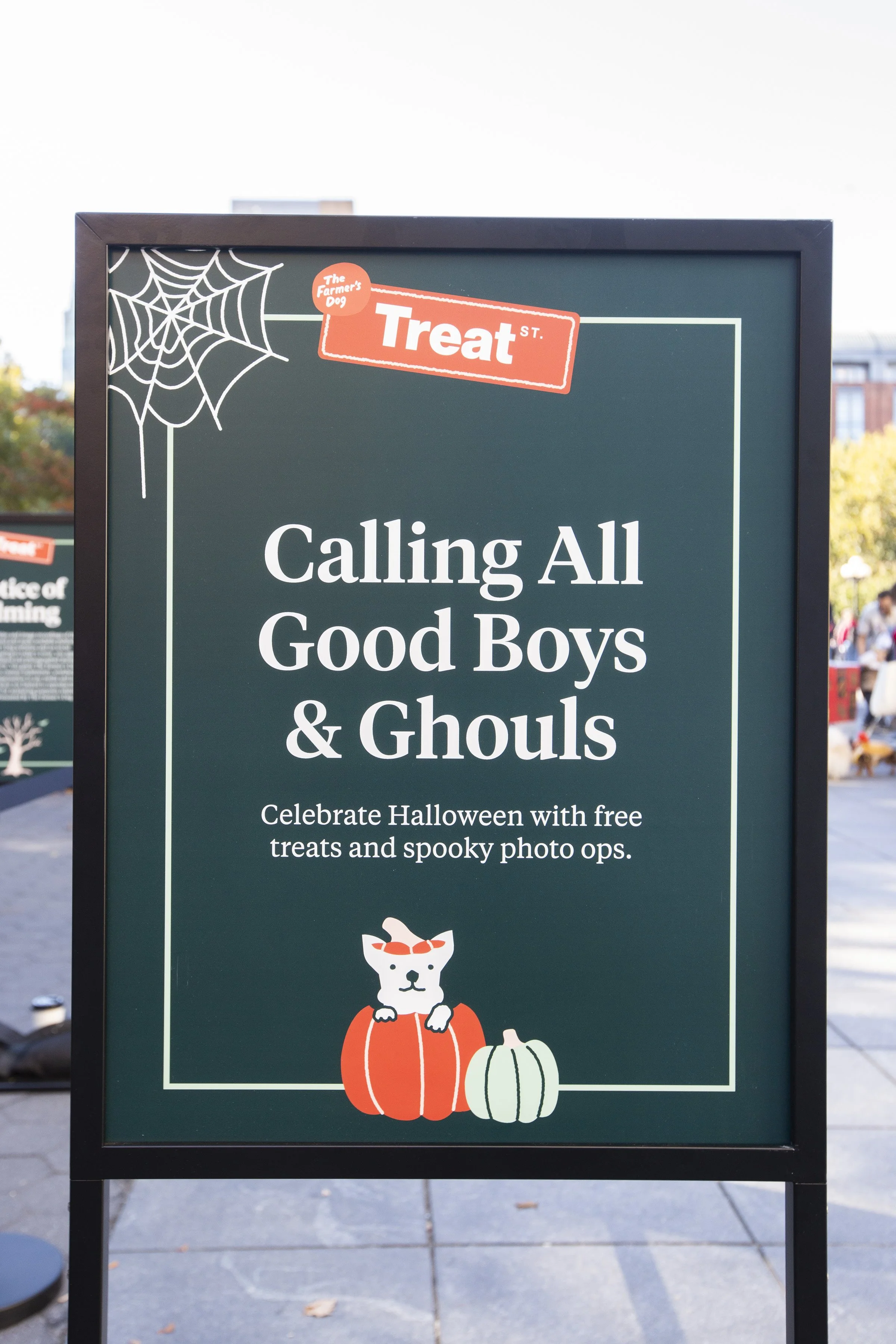 Farmers Dog_WSP_14 (1).jpg