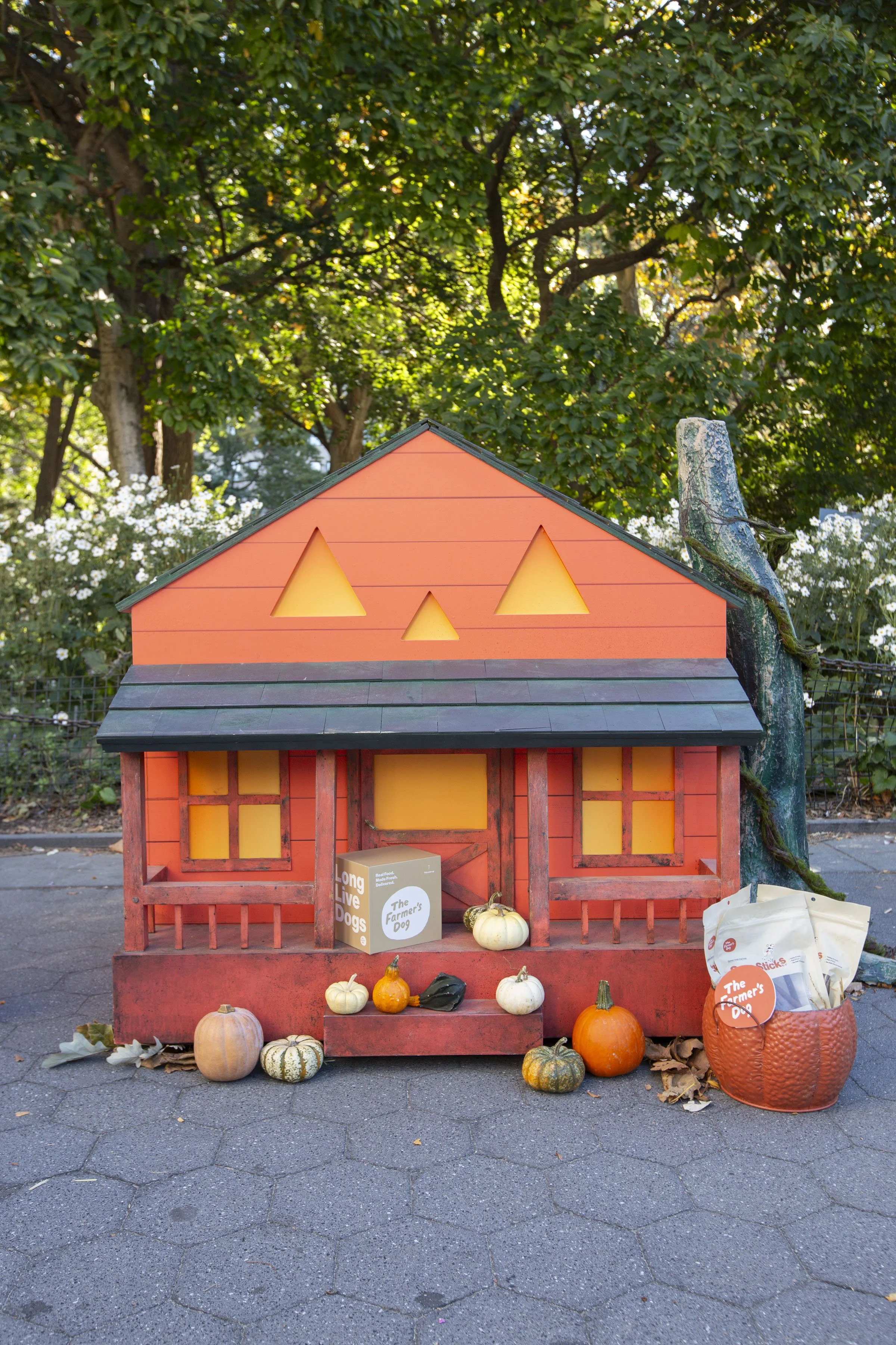 Farmers Dog_WSP_6 (2).jpg