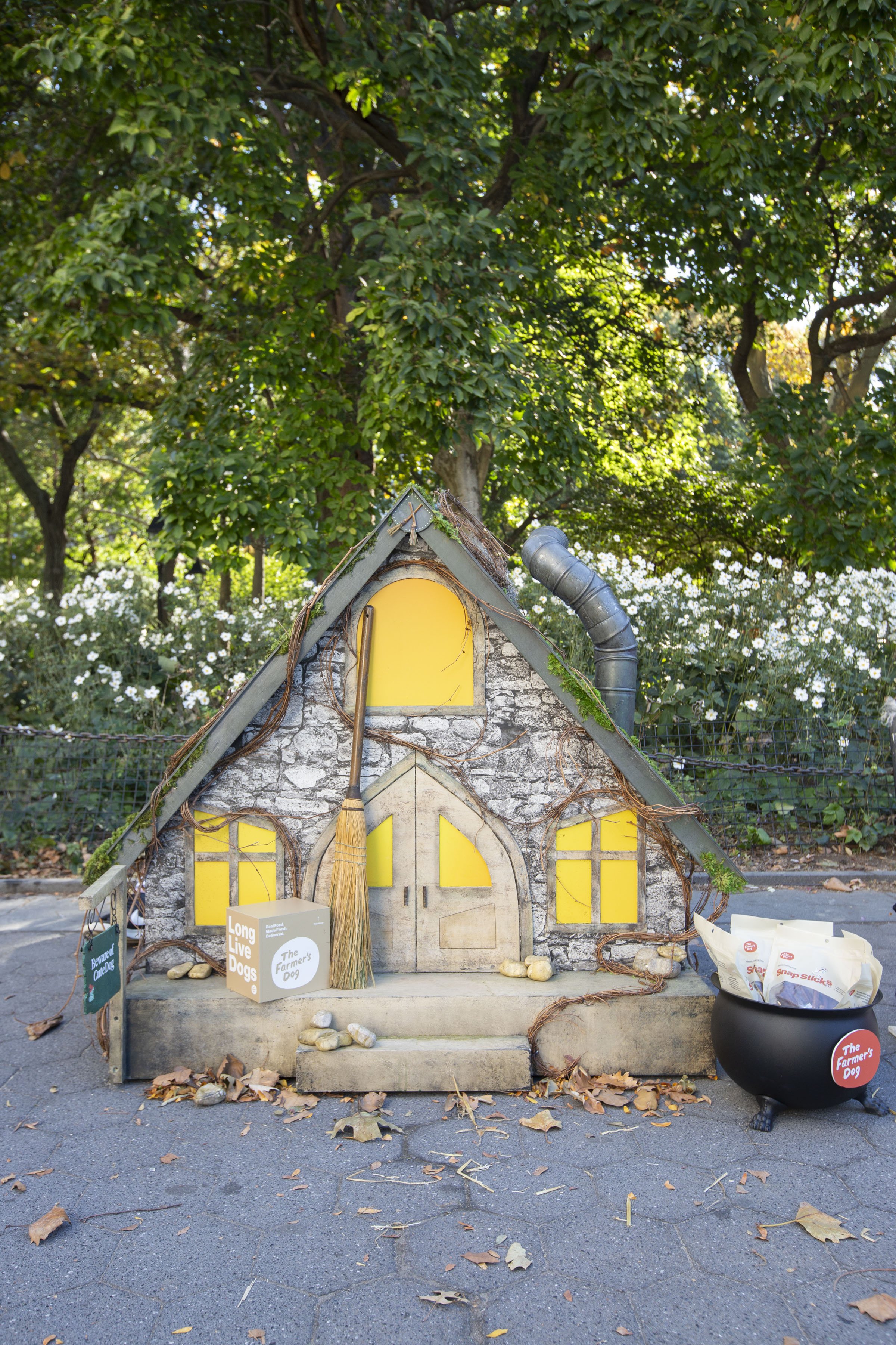 Farmers Dog_WSP_9 (1).jpg