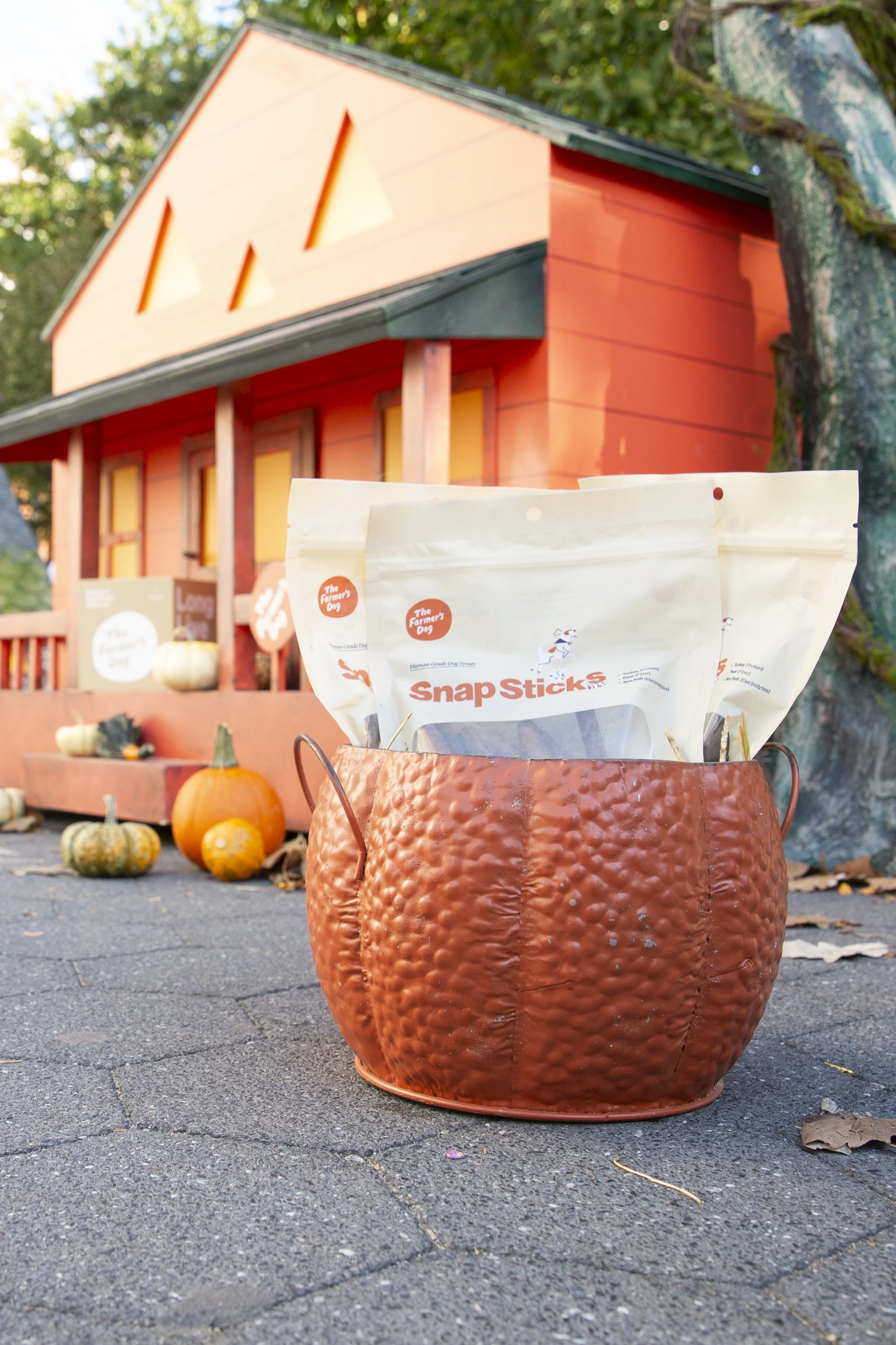 Farmers Dog_WSP_122 (1).jpg