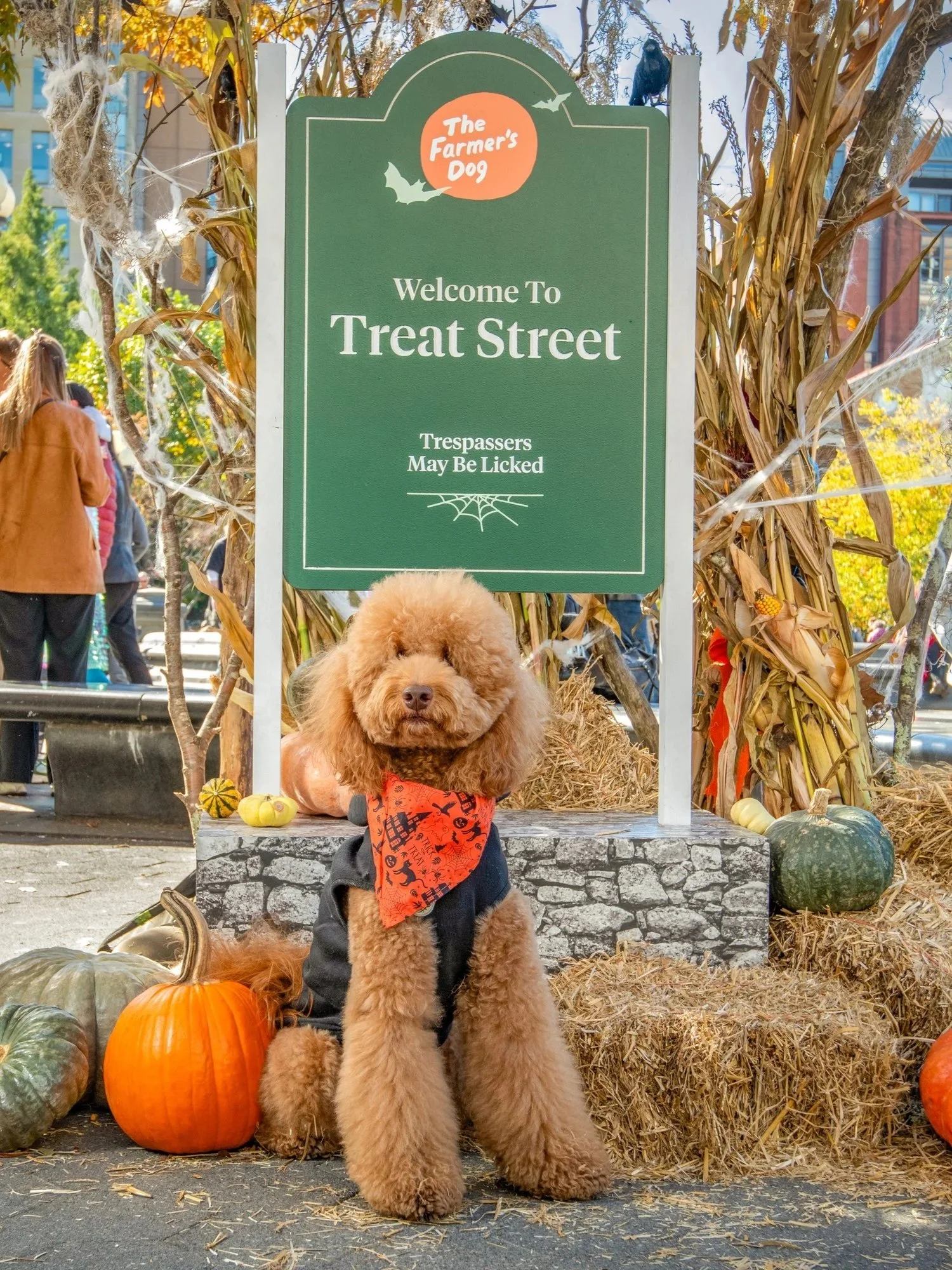 The Farmer's Dog Treat Street