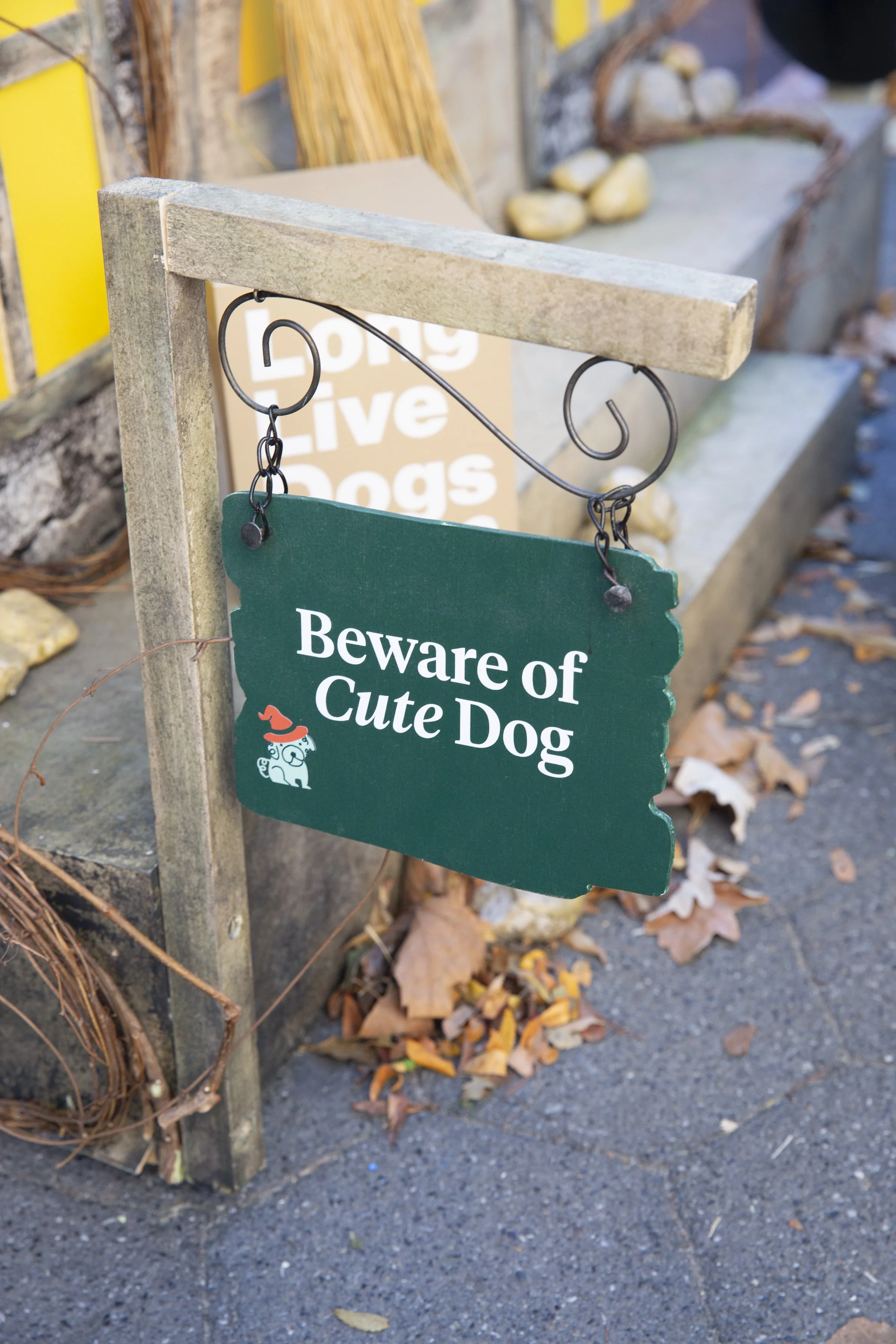 Farmers Dog_WSP_100 (2).jpg