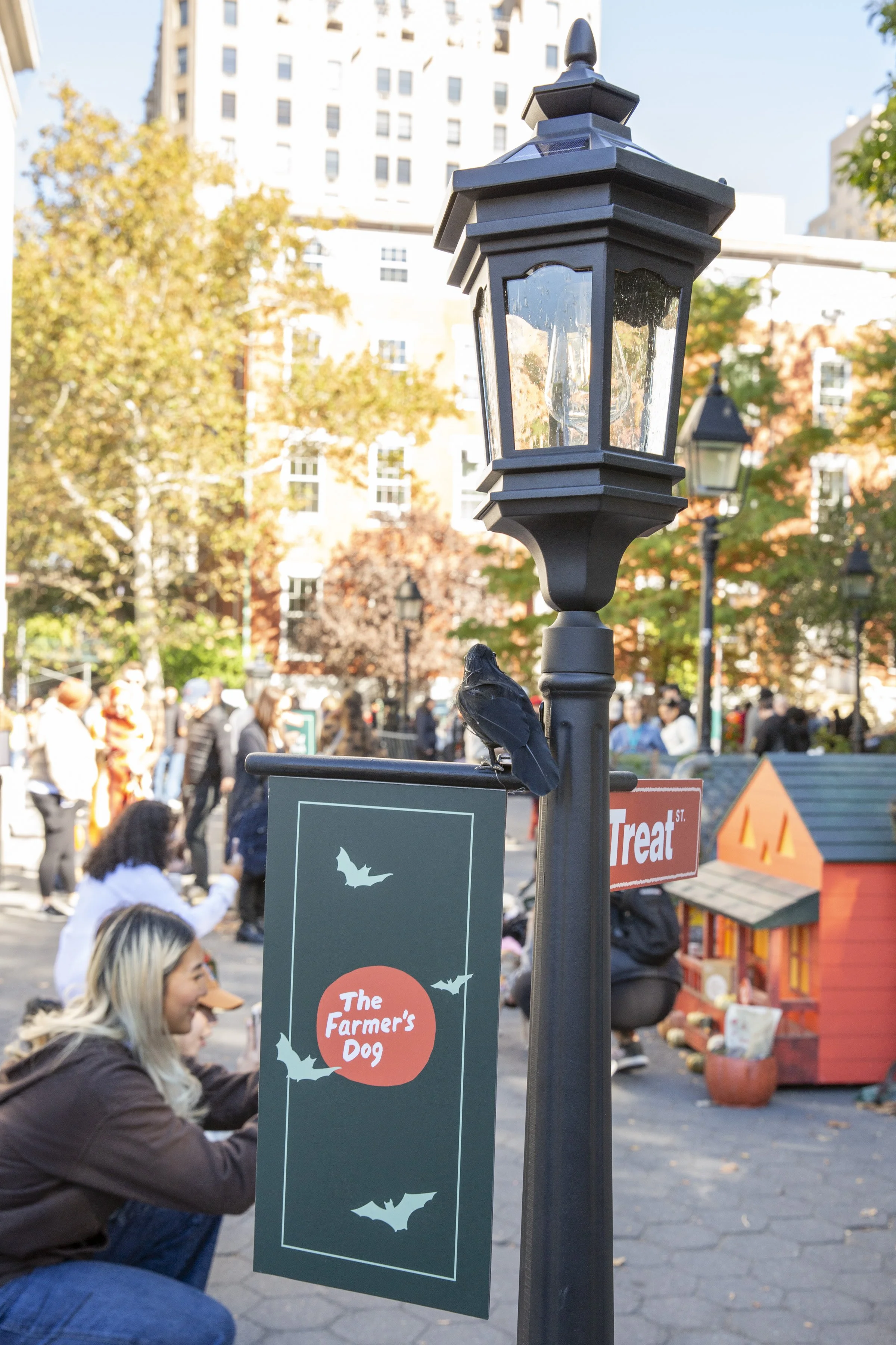 Farmers Dog_WSP_104 (1).jpg