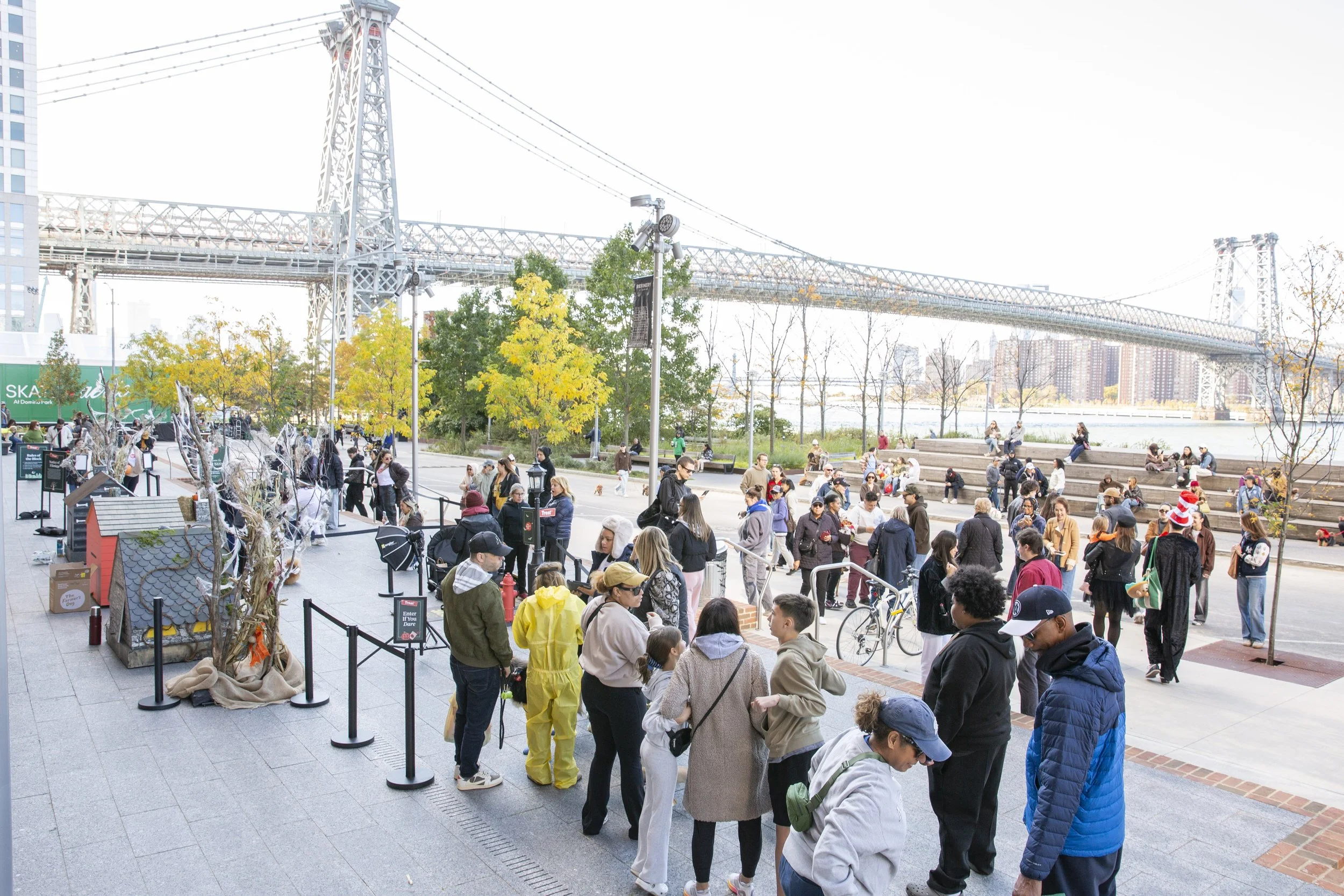 Farmers Dog_DP_82.jpg