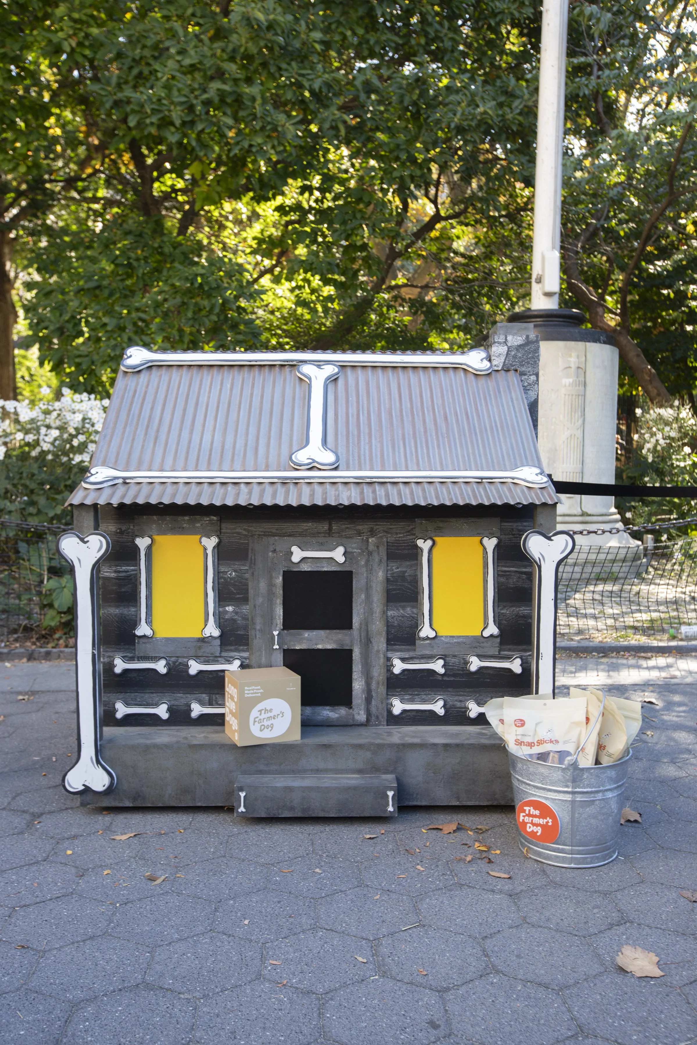 Farmers Dog_WSP_7 (2).jpg