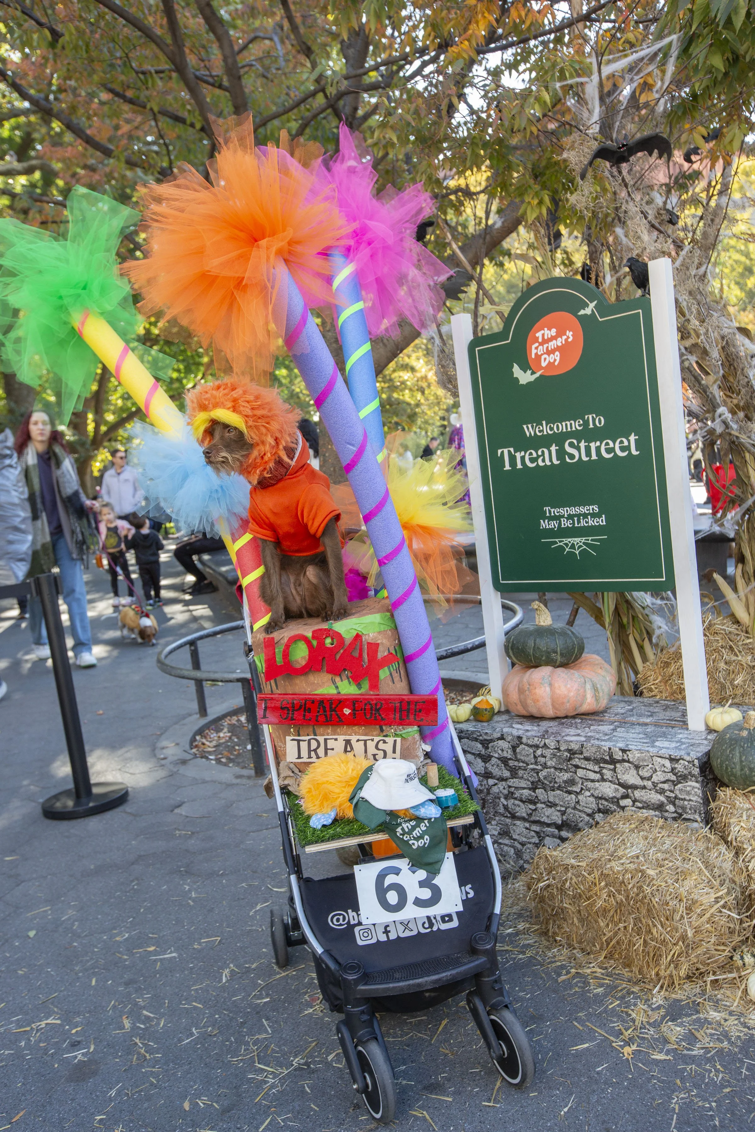 Farmers Dog_WSP_41 (1).jpg