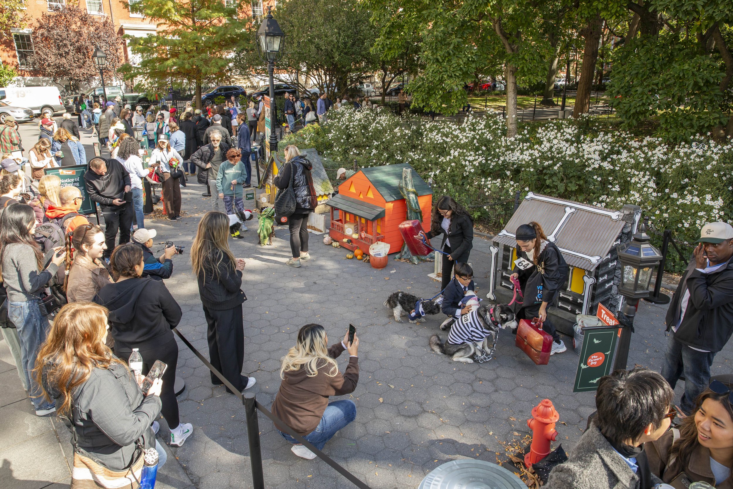 Farmers Dog_WSP_124 (1).jpg