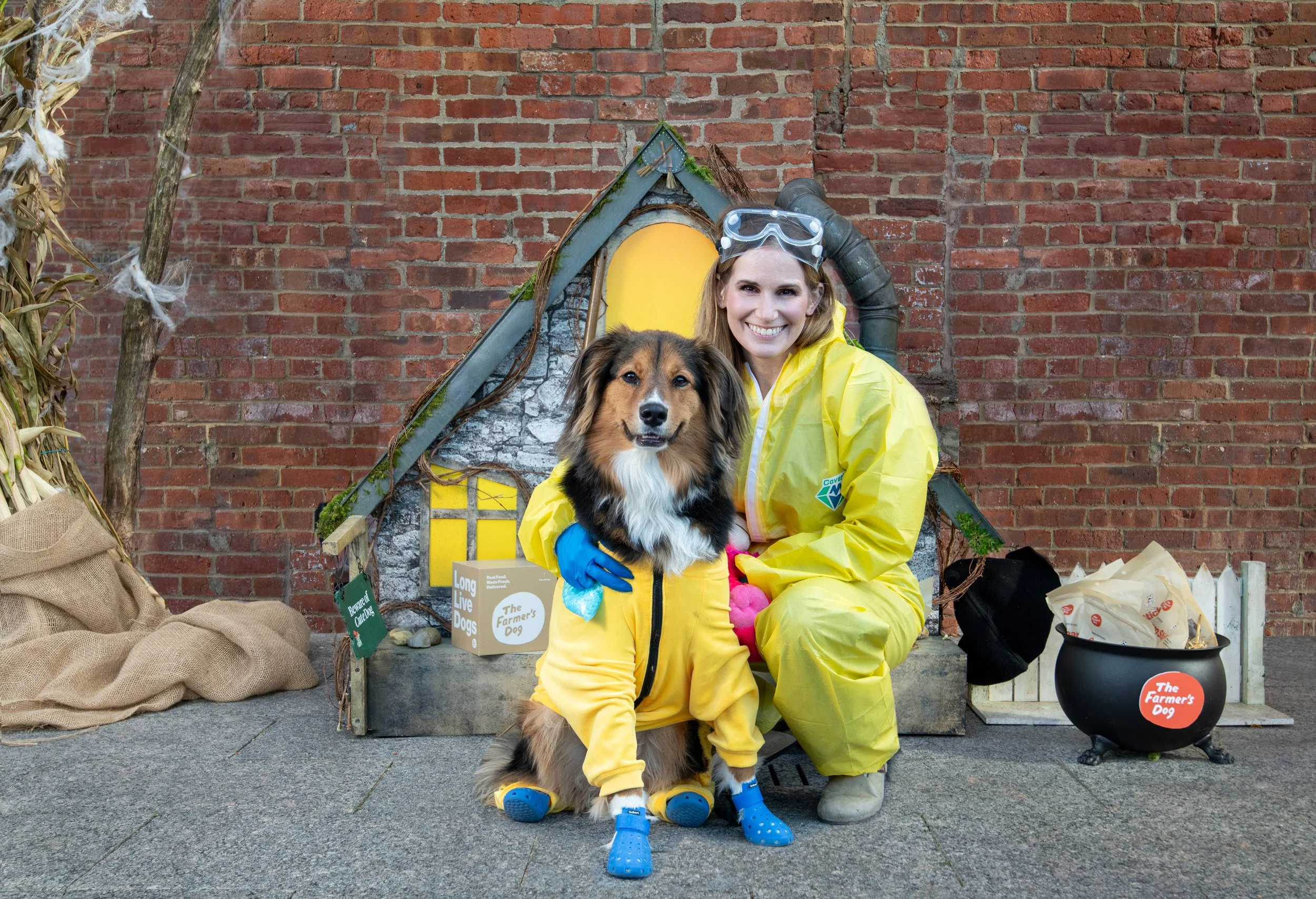 TheFarmersDogDOMINO (1).jpg