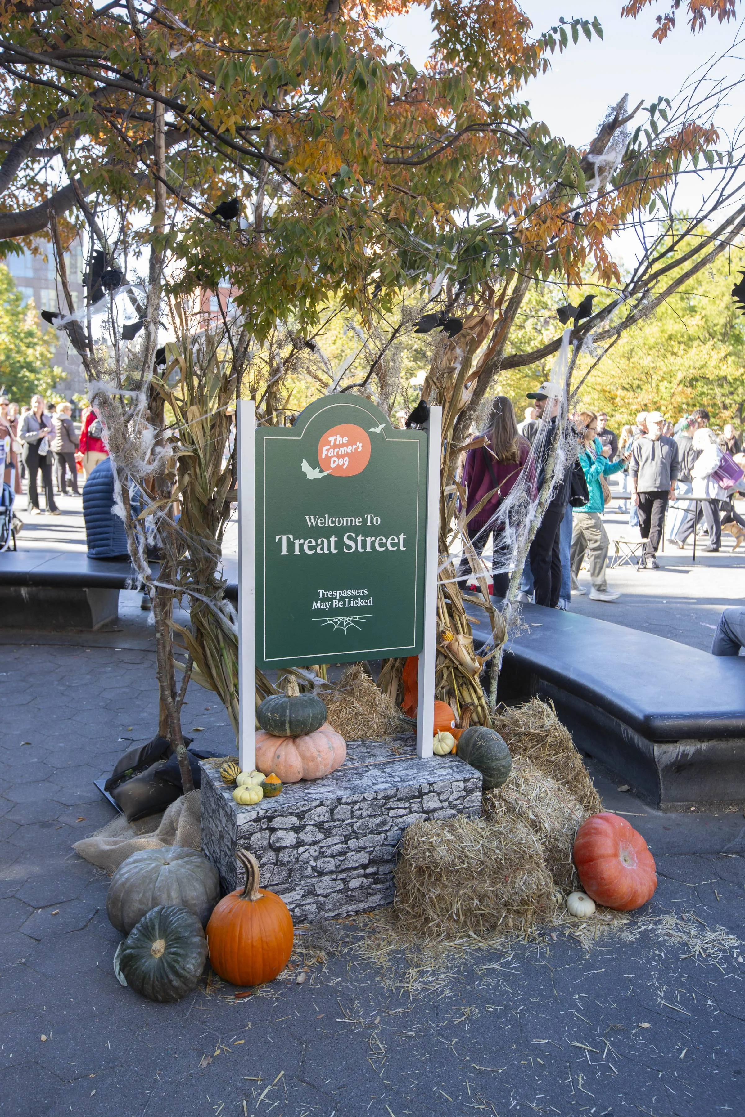 Farmers Dog_WSP_18.jpg