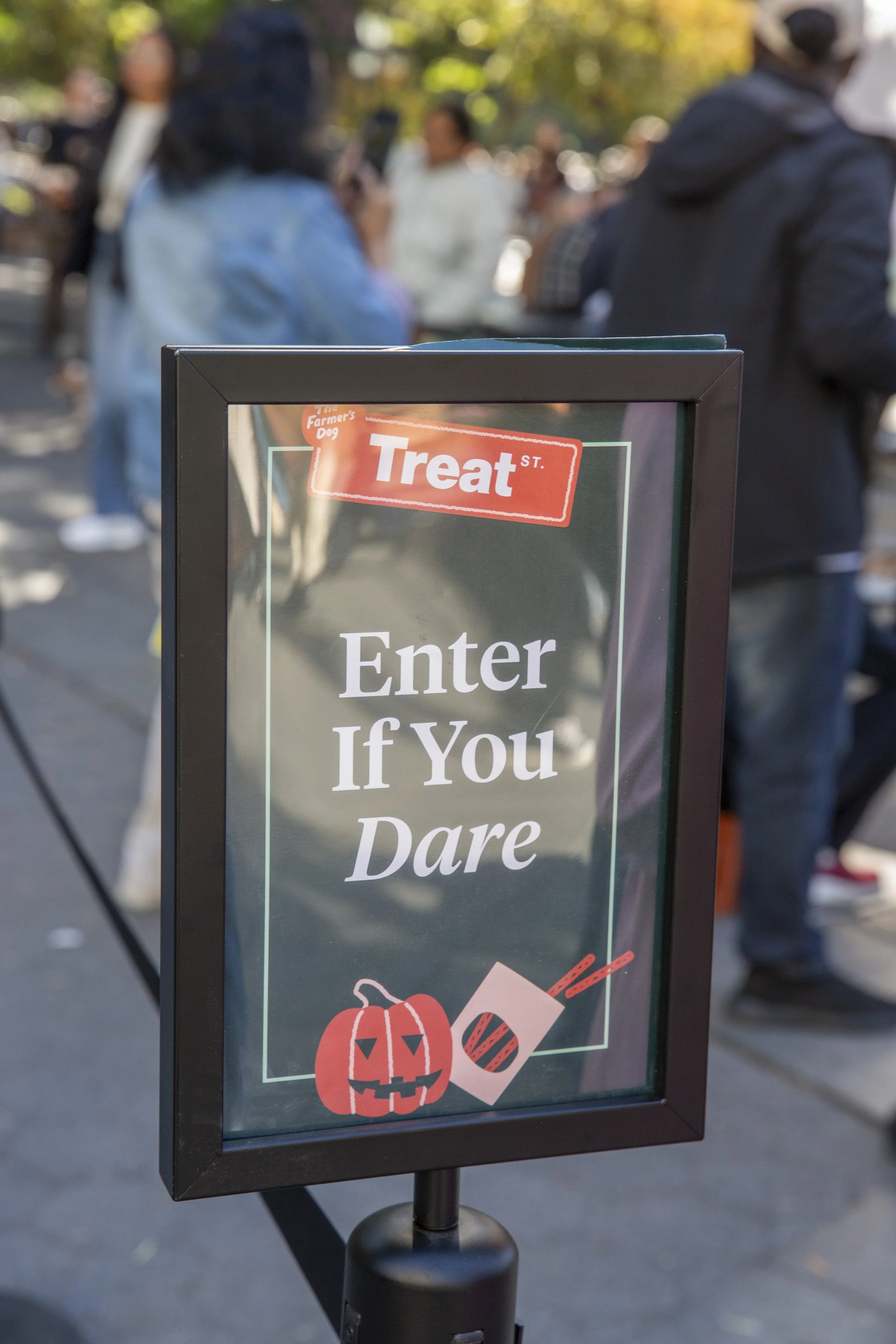 Farmers Dog_WSP_91 (1).jpg