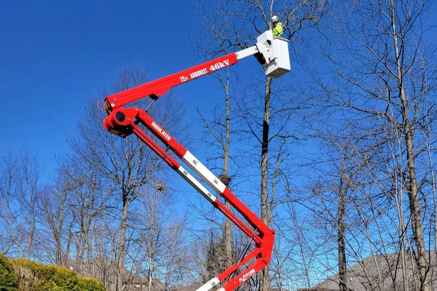 Tree trimming and pruning services by Schmiesing Tree Service