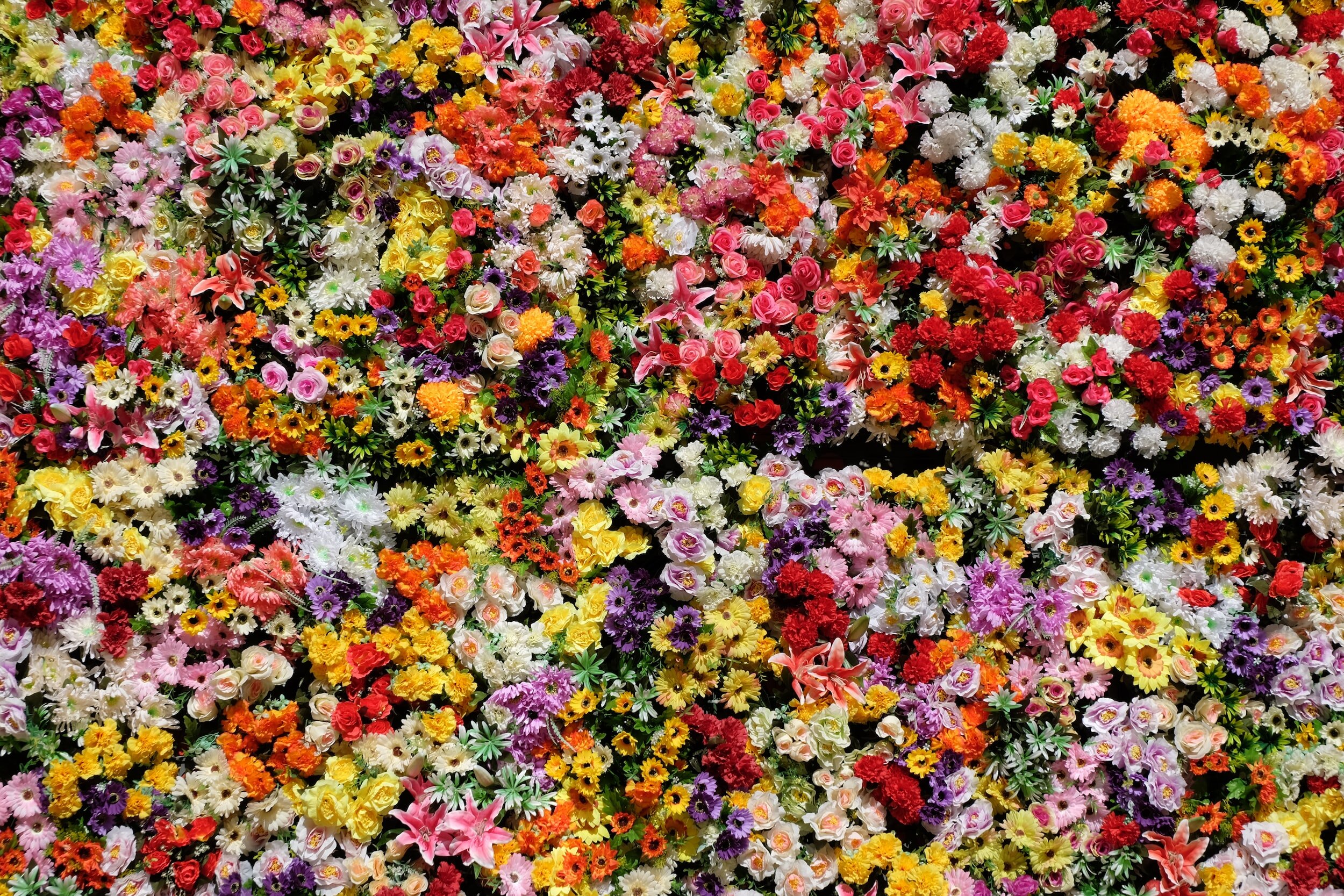 Obituaries — Blair's Direct Cremation & Burial Services