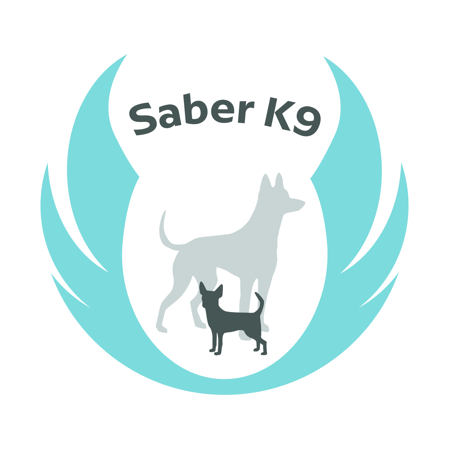 Saber K9