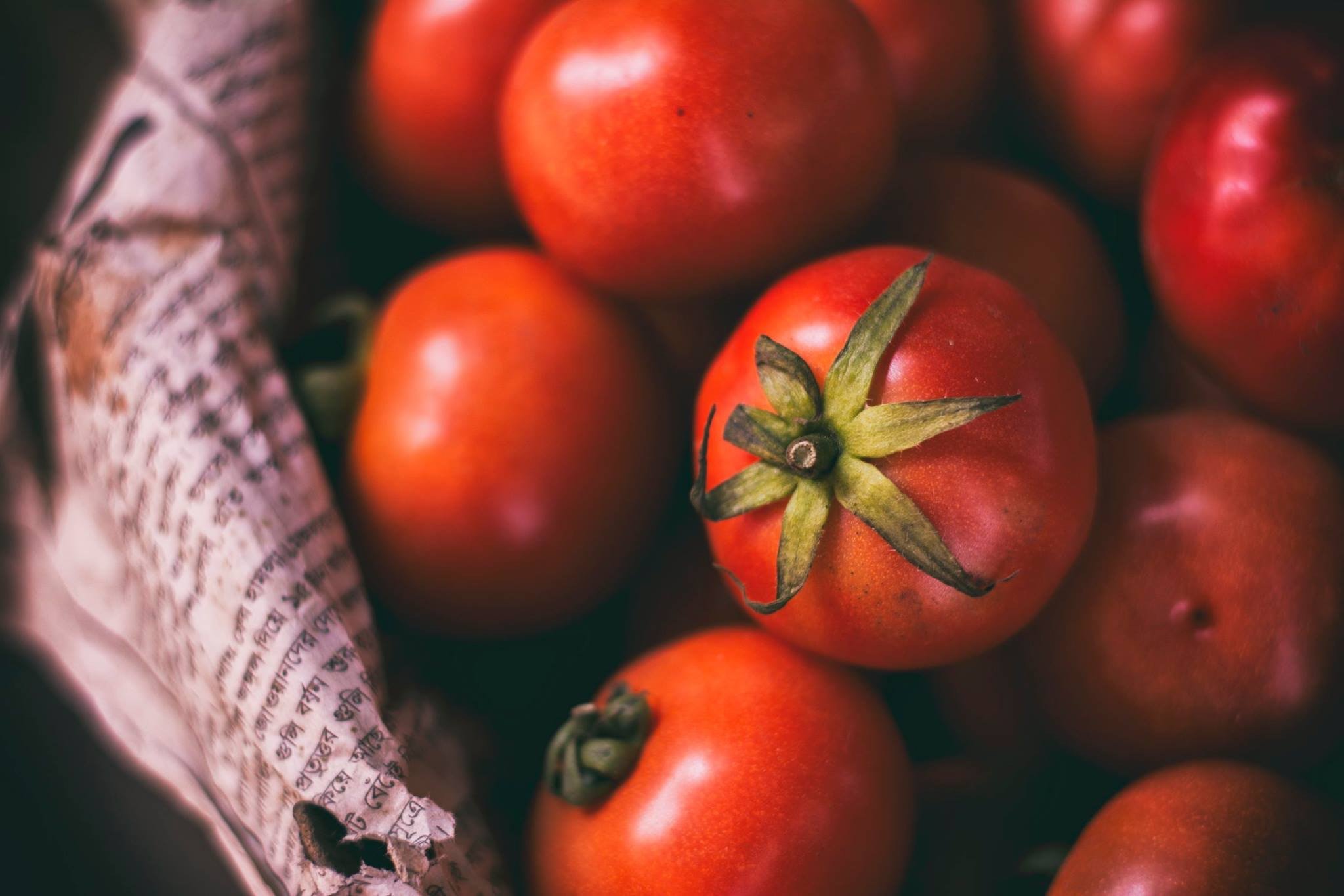 Farm Beginnings® Info Session