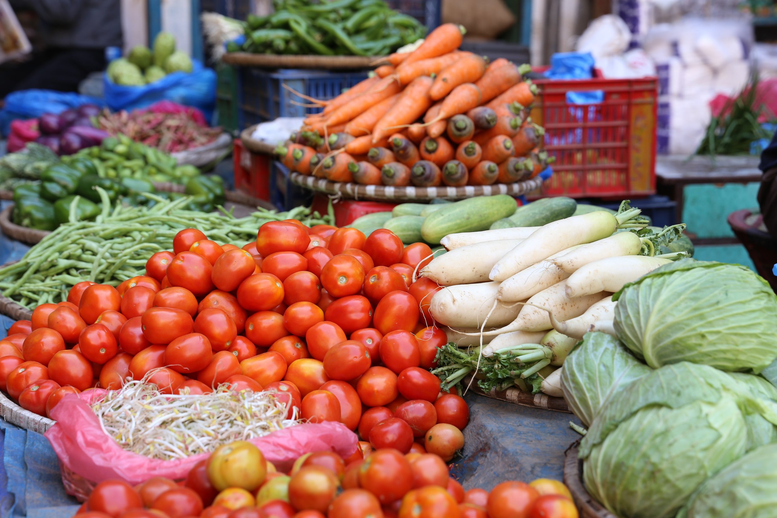 Farm Beginnings® Info Session