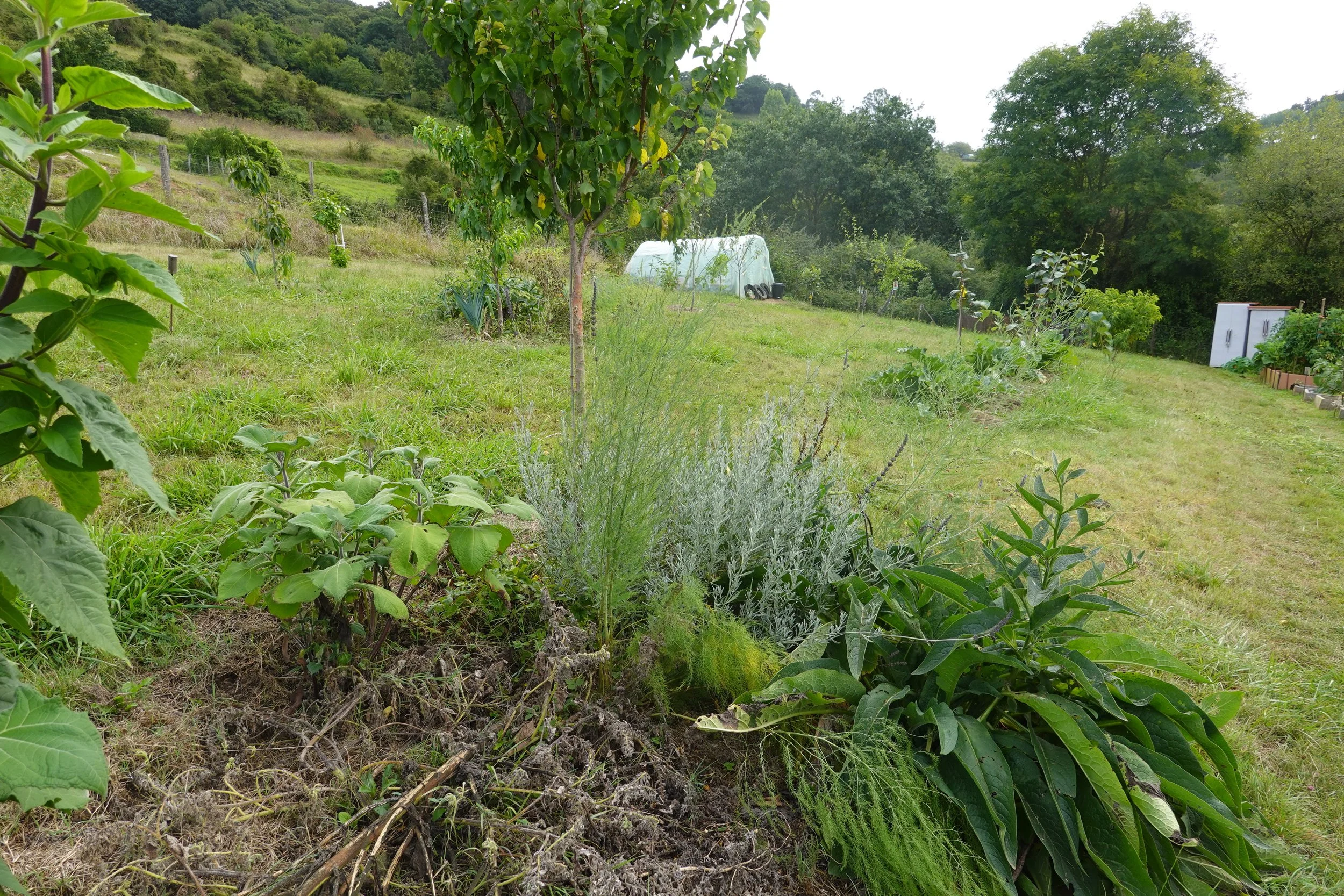 Class 3 of Growing Food On Slopes 