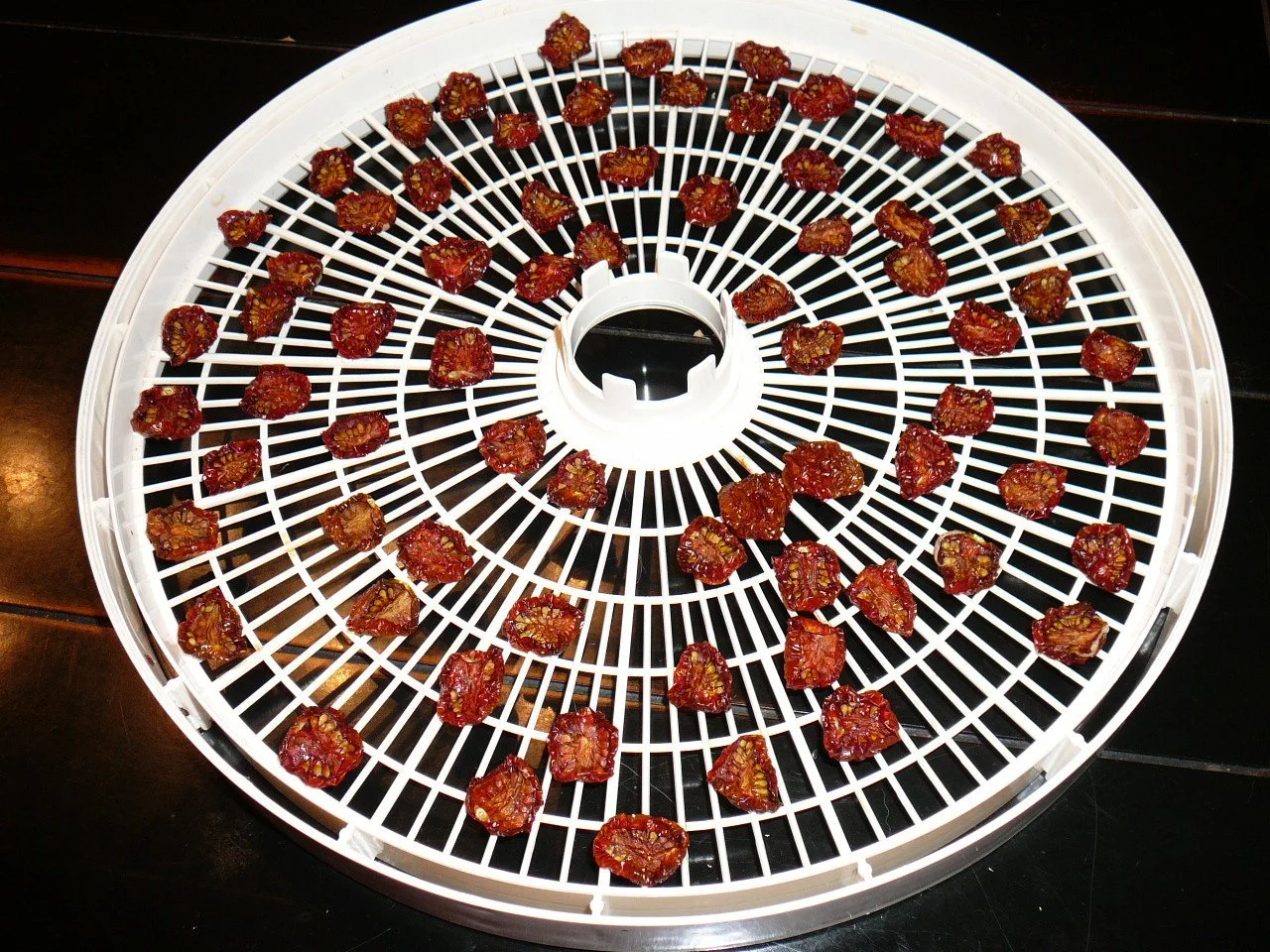 Cherry tomatoes spread out on a drying and dehydrating surface