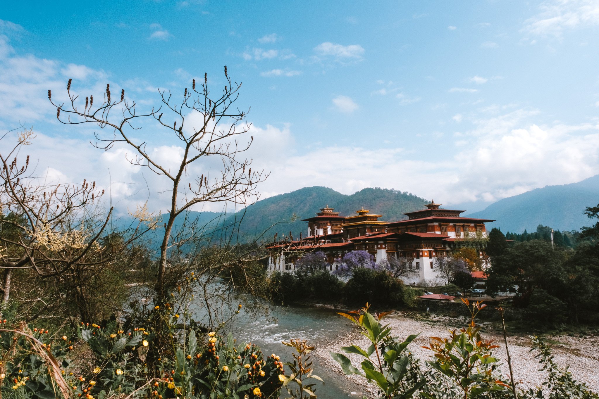 A river flows in the foreground with plants and flowers on the banks. In the background, there is a traditional building with multiple tiers and a mountain range beneath a partly cloudy sky.