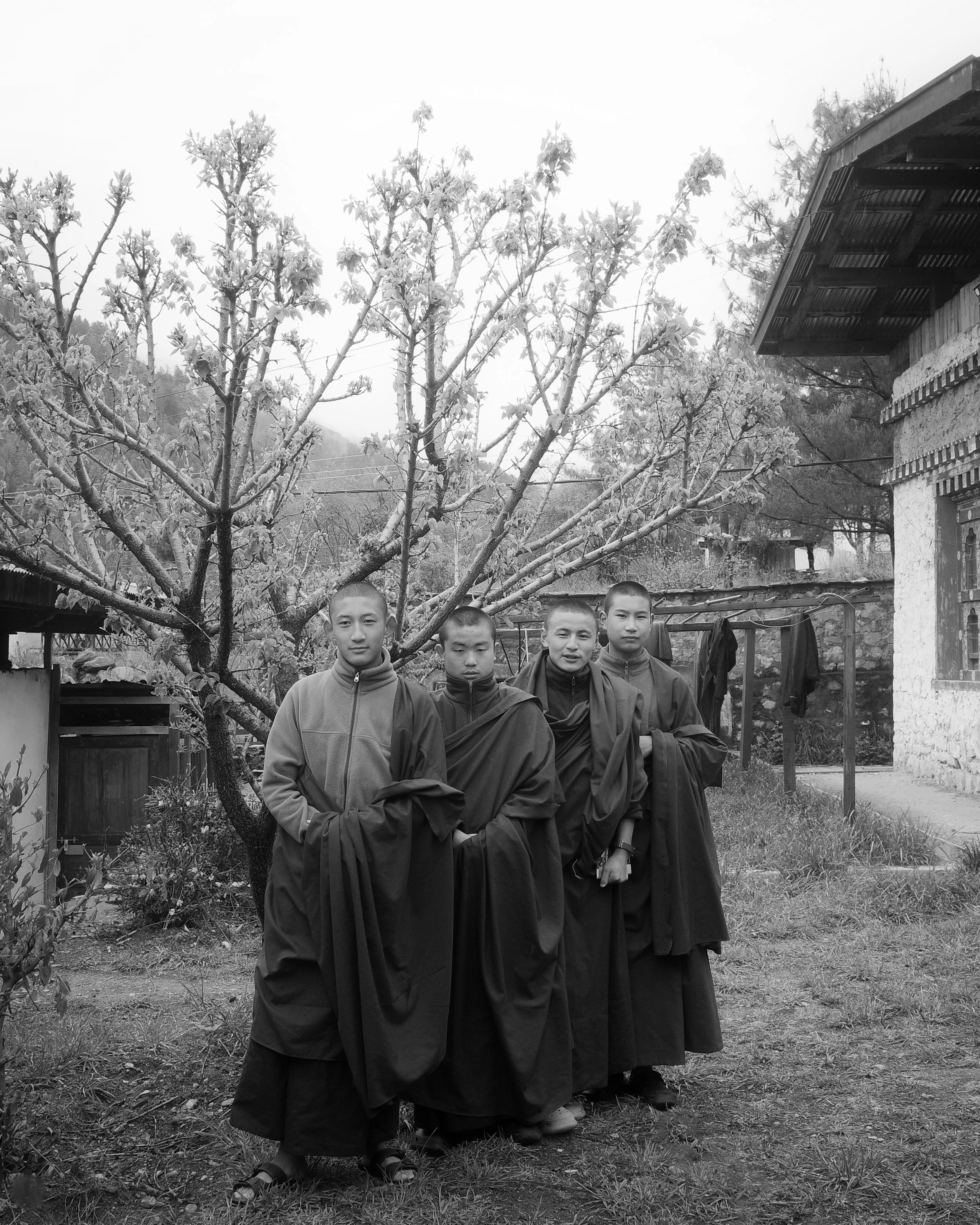 Black and white photo of five young men dressed in traditional robes, standing outdoors in front of a large leafless tree and a house with a sloped roof and exposed wooden beams.