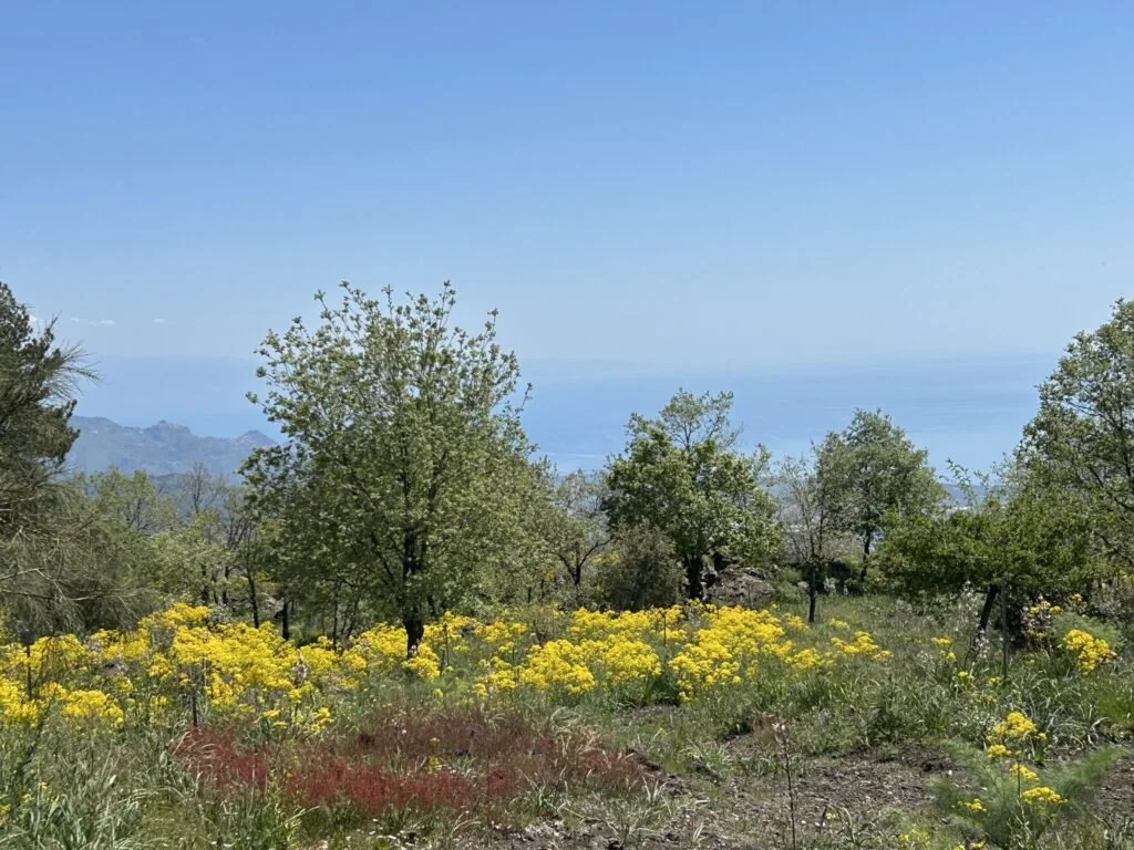 Family Money Messages