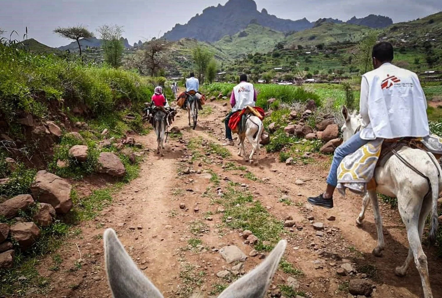 Canadian Charities Working Internationally