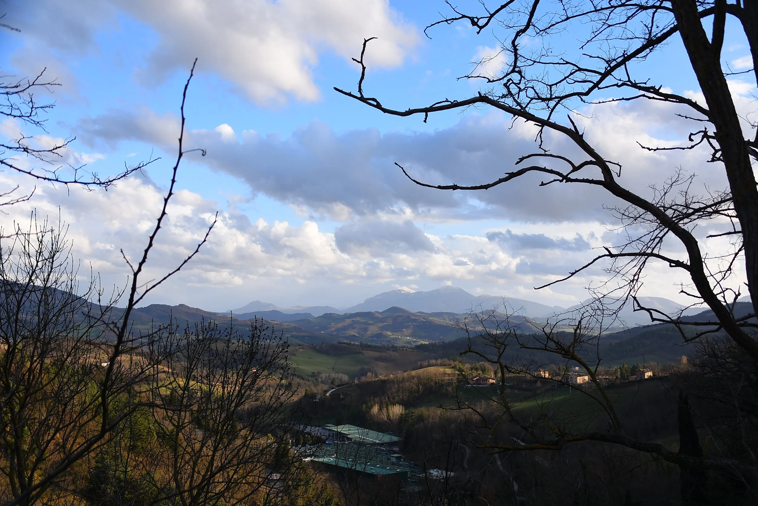 The Instability of Charitable Bequests