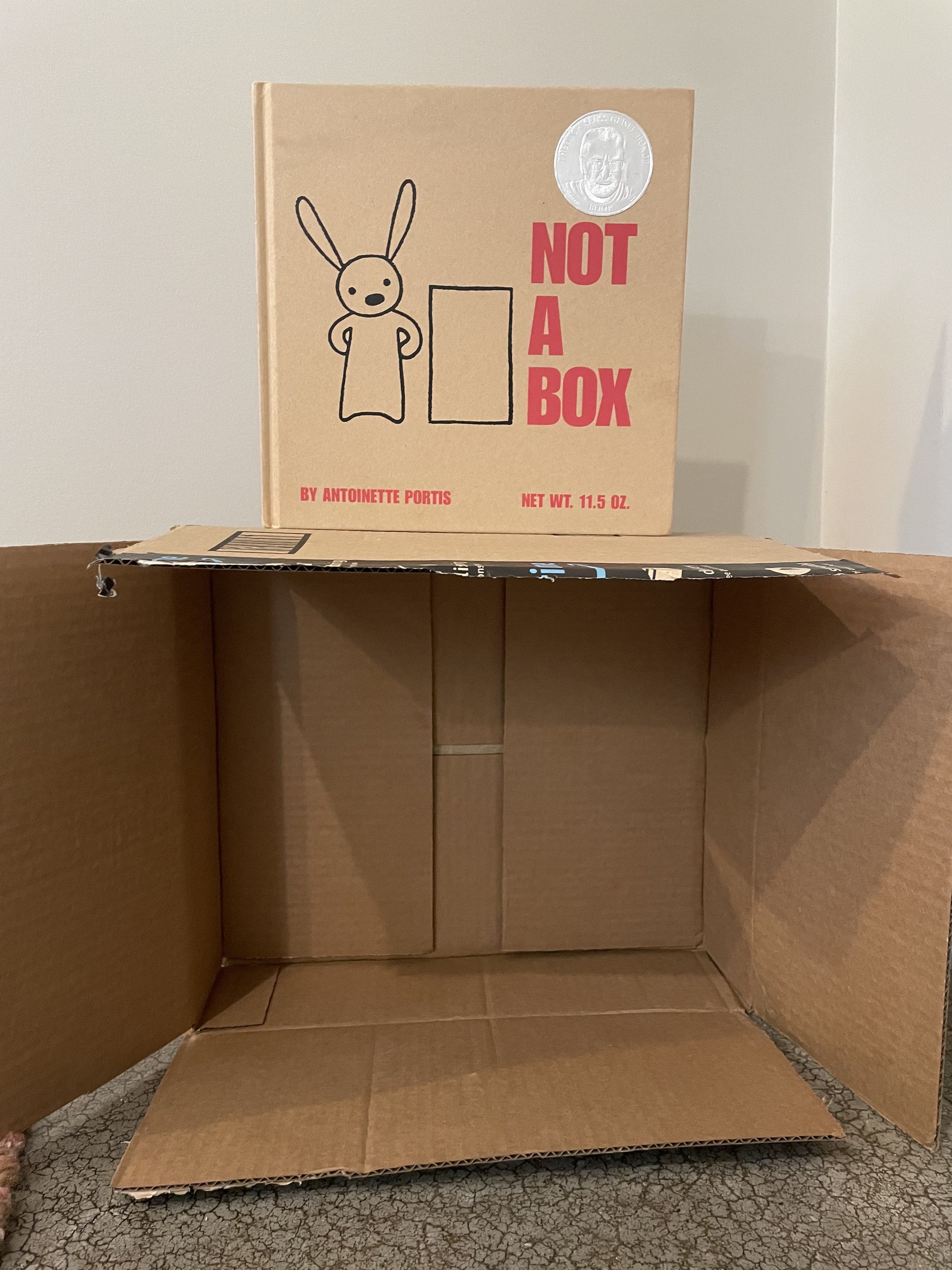 Not A Box