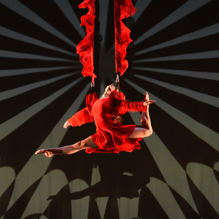 Episode image for Choreographer Moses Pendleton, on MOMIX's 'Alice' at Performing Arts Houston