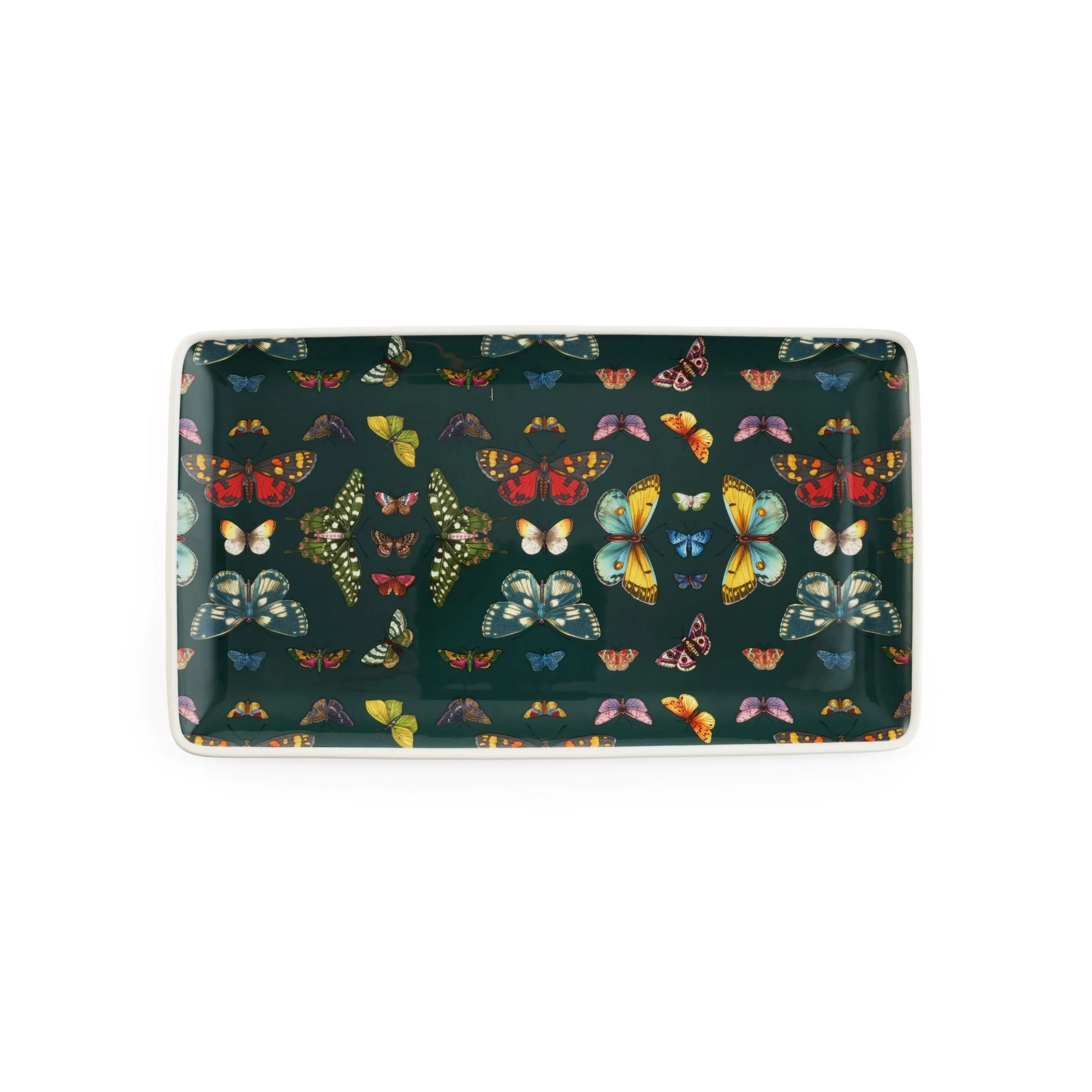 dark green tray with variety of butterflies in varying sizes and colors.