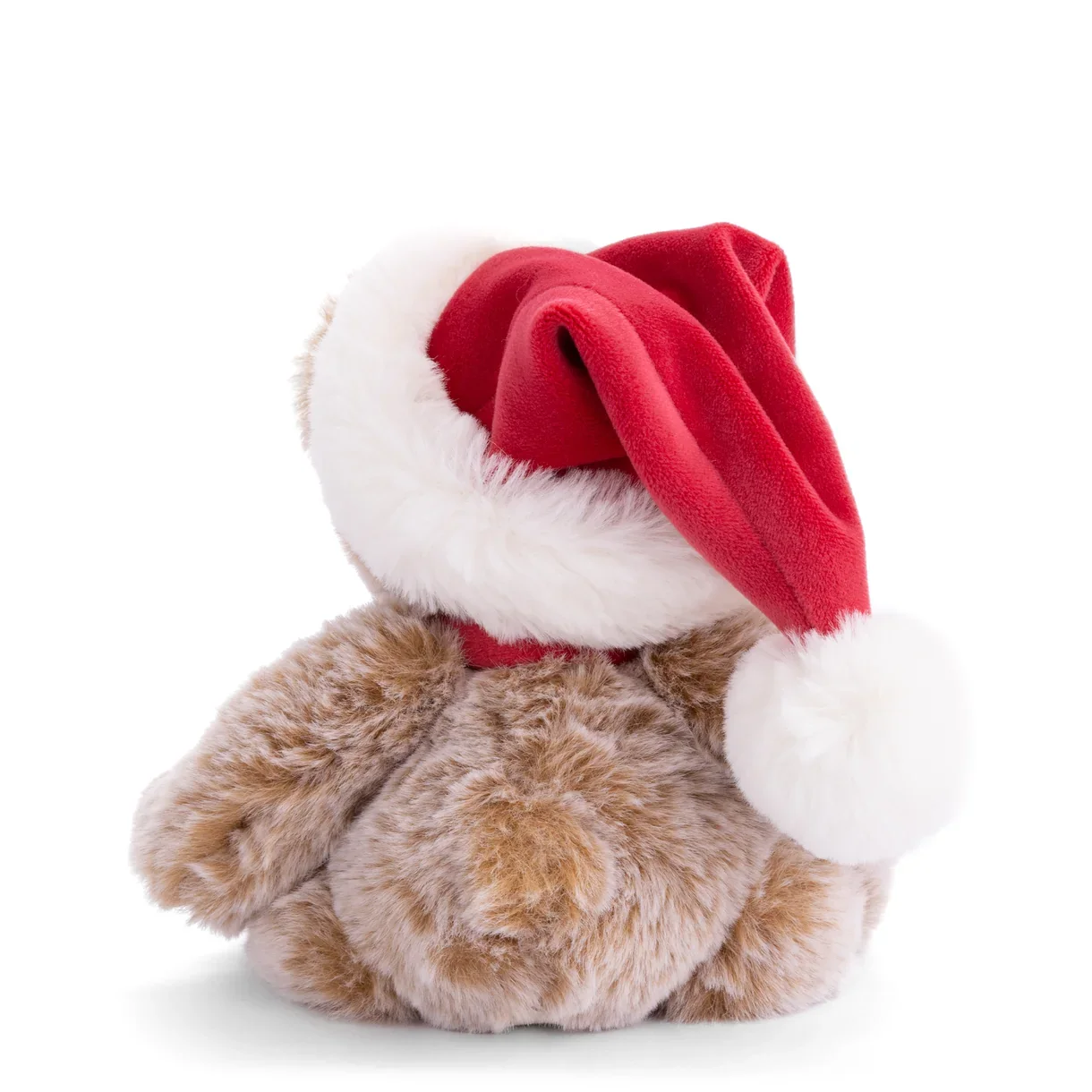 CuteTomtenisseback.webp