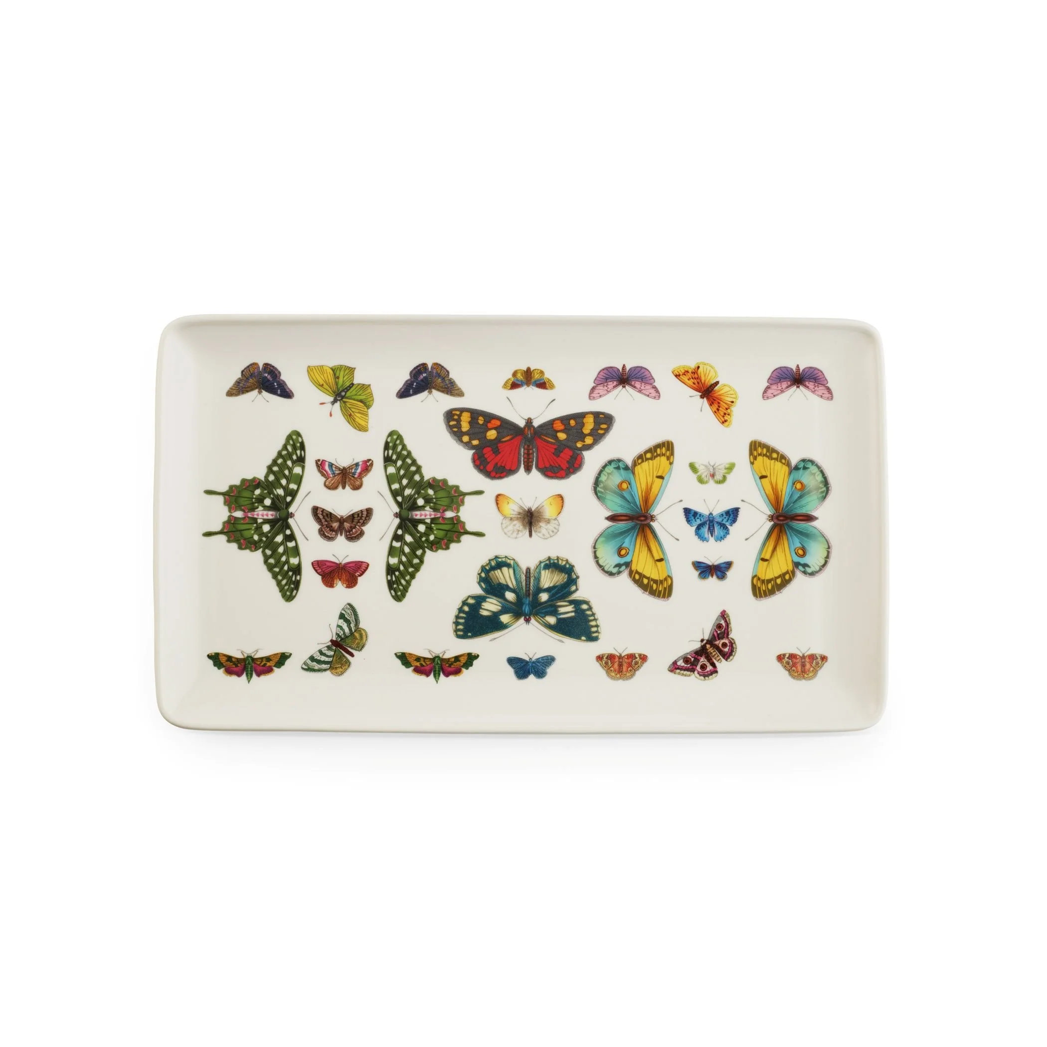 white tray with butterflies of all shapes, sizes and colors