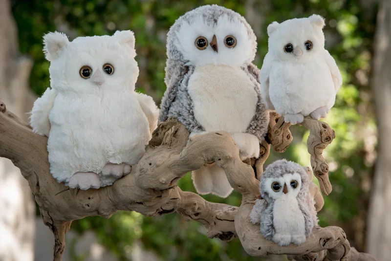 DSC06975_1220x1220_crop_center.webp