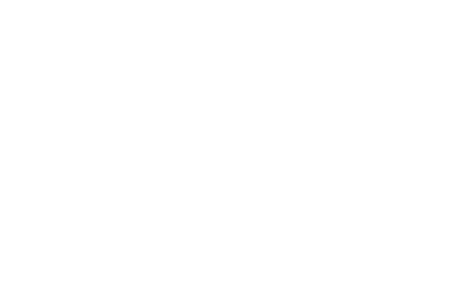 Media Focus