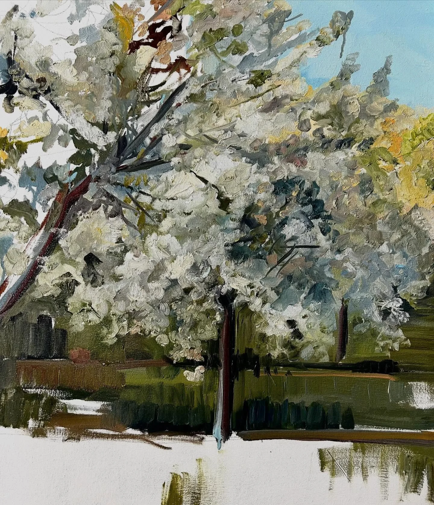 Starting a new BIG one! 
34&rdquo; x  47&rdquo;
Unnamed Suttons Bay Cherry Orchard