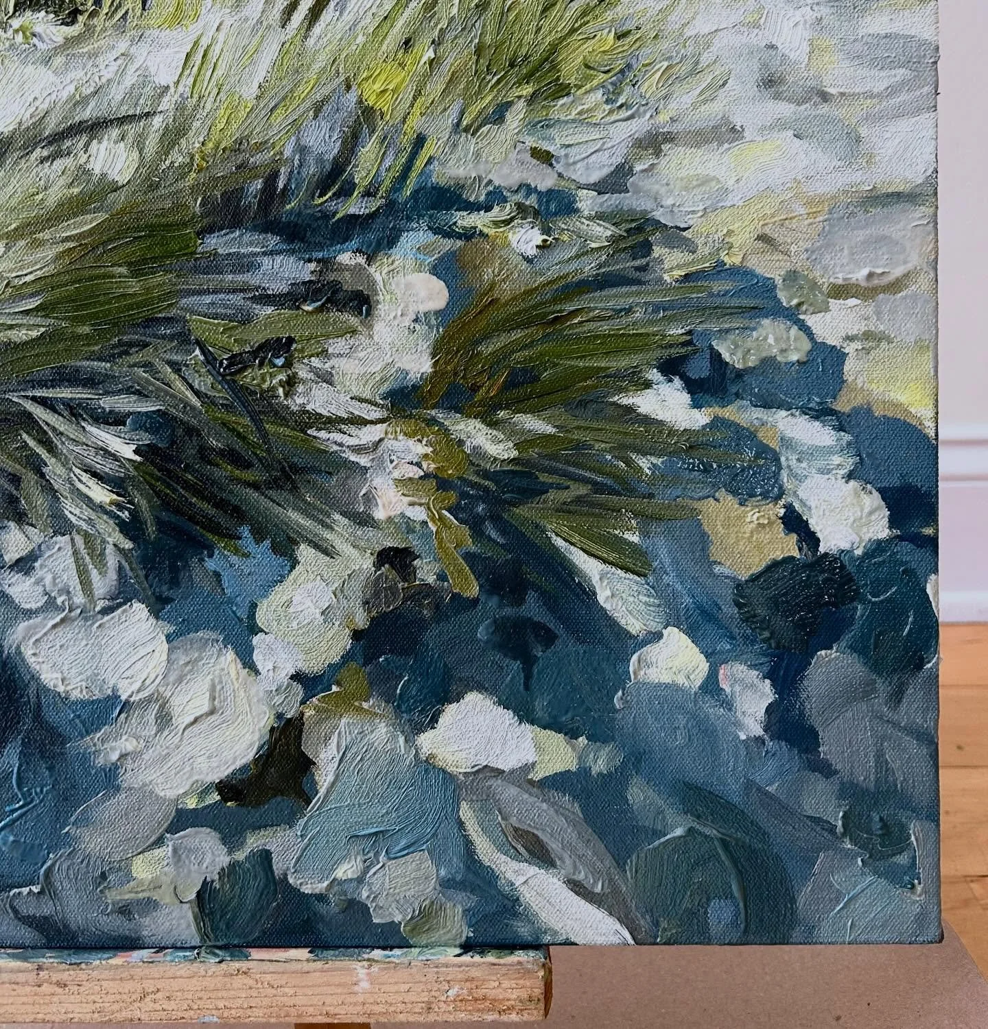 Close up of the shadows 😍