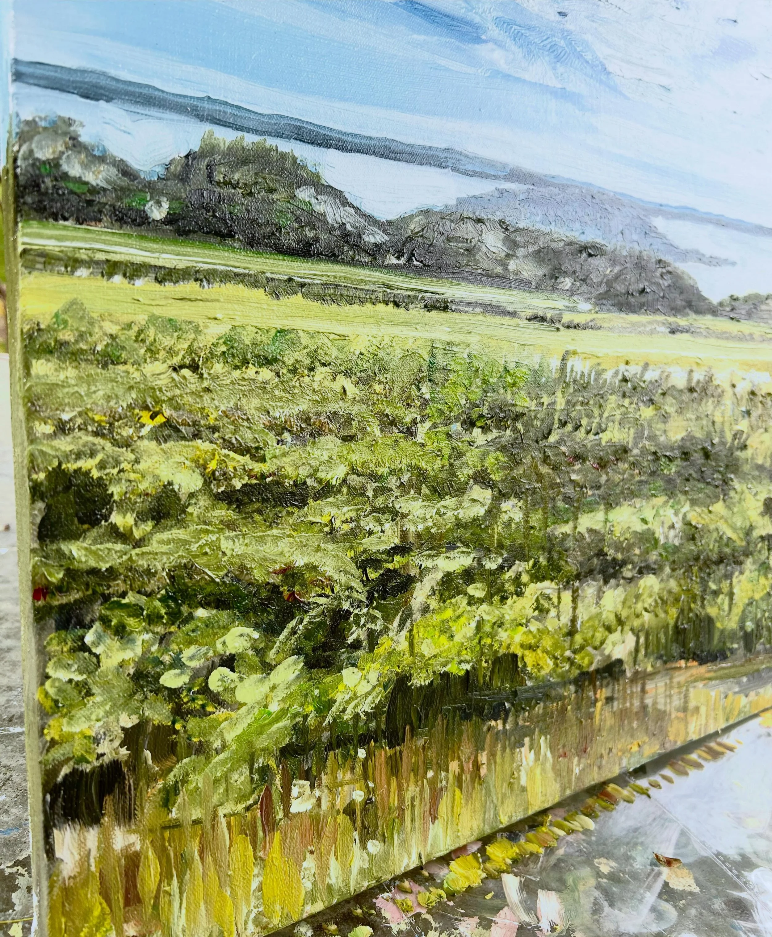 Heavy texture on this one! 
Untitled - Old mission 
$395.00 when completed 
Oil on canvas 
18&rdquo; x 24&rdquo;