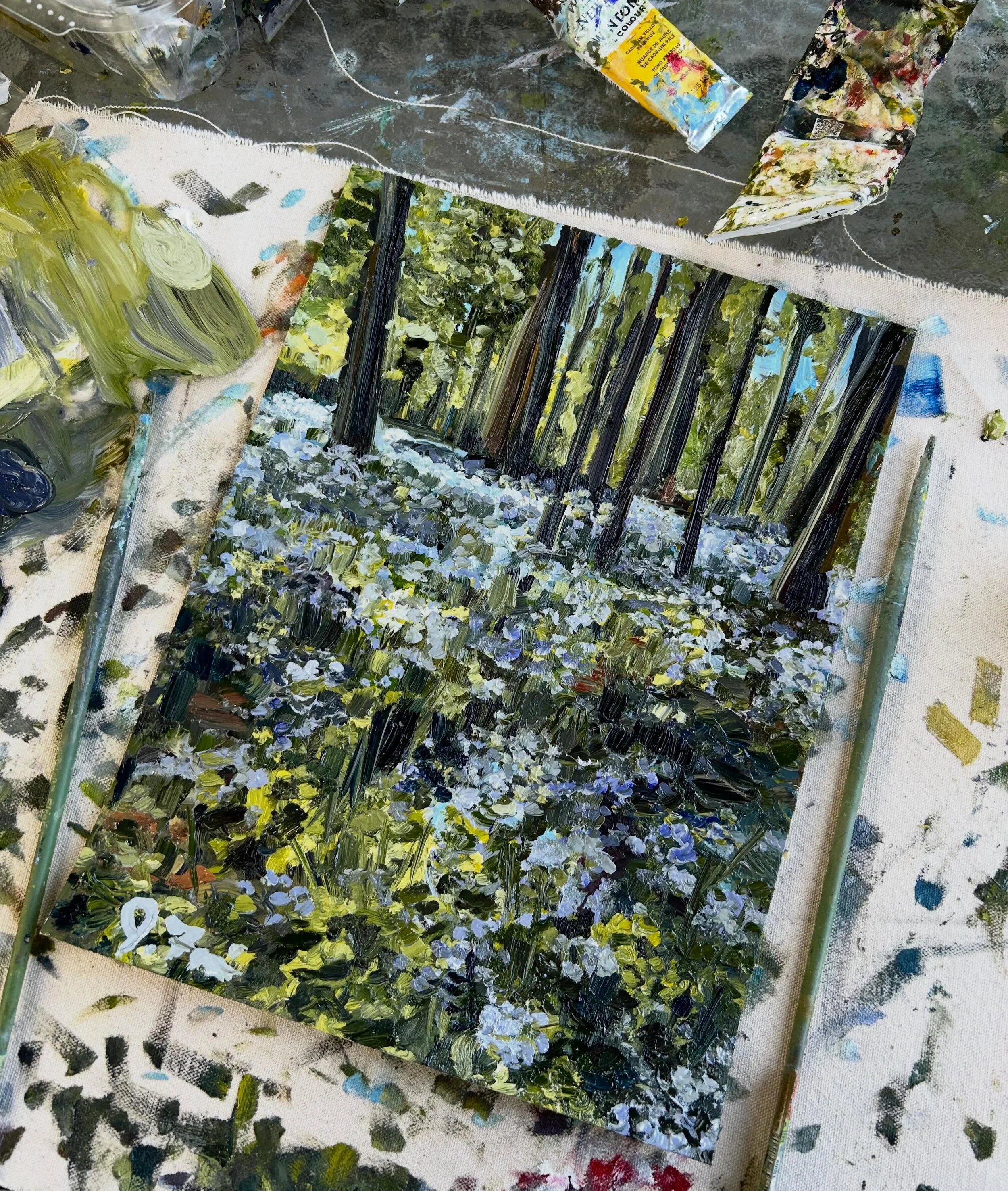 &ldquo;Willow Hill Forget Me Nots&rdquo;
$60.00
Oil on paper 
12&rdquo; x 9&rdquo; 
Ready mid June!