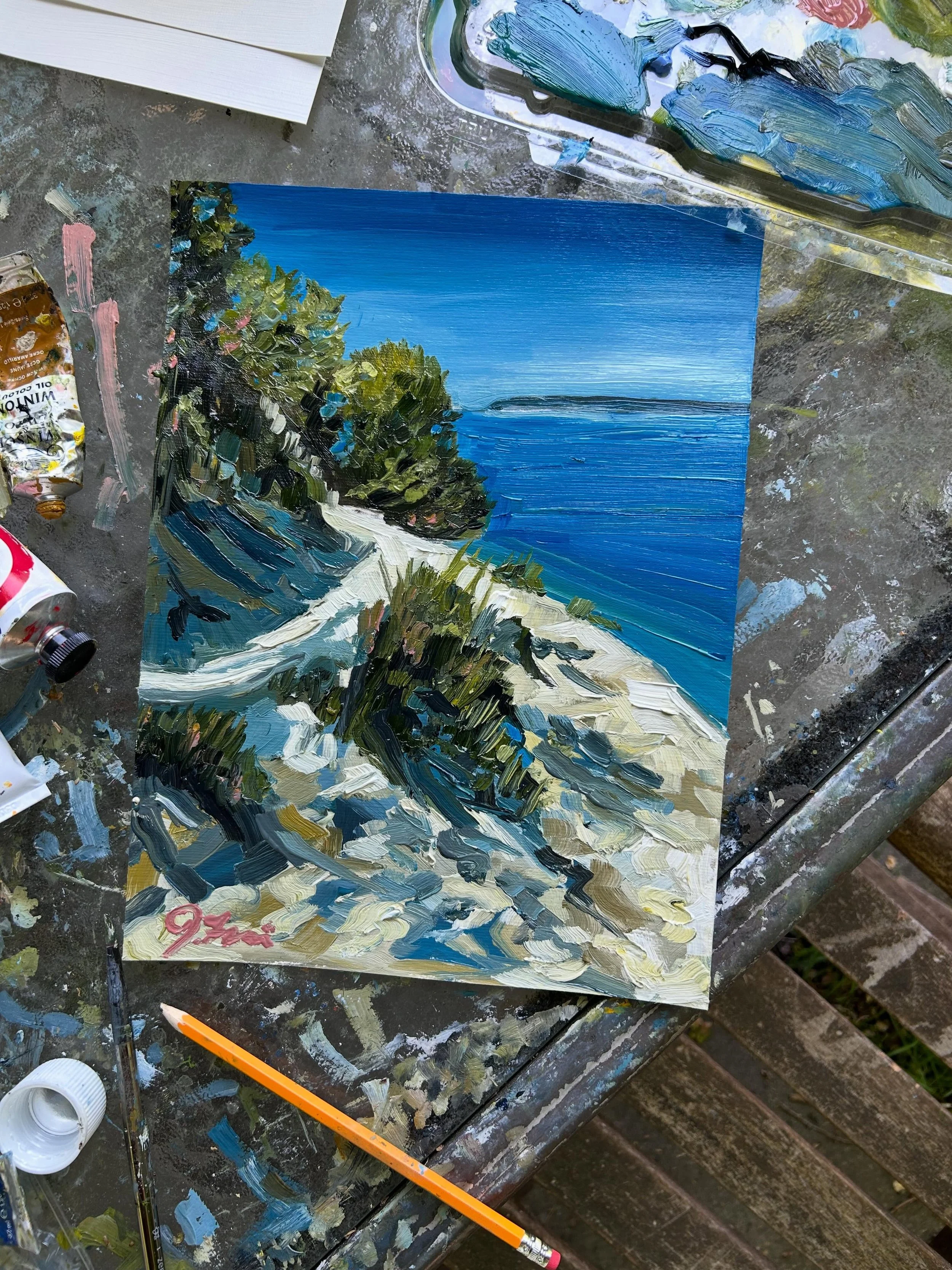 &ldquo;Pyramid Point Lookout&rdquo;
$65.00
12&rdquo; x 9&rdquo; 
Oil on paper 
Ready mid June