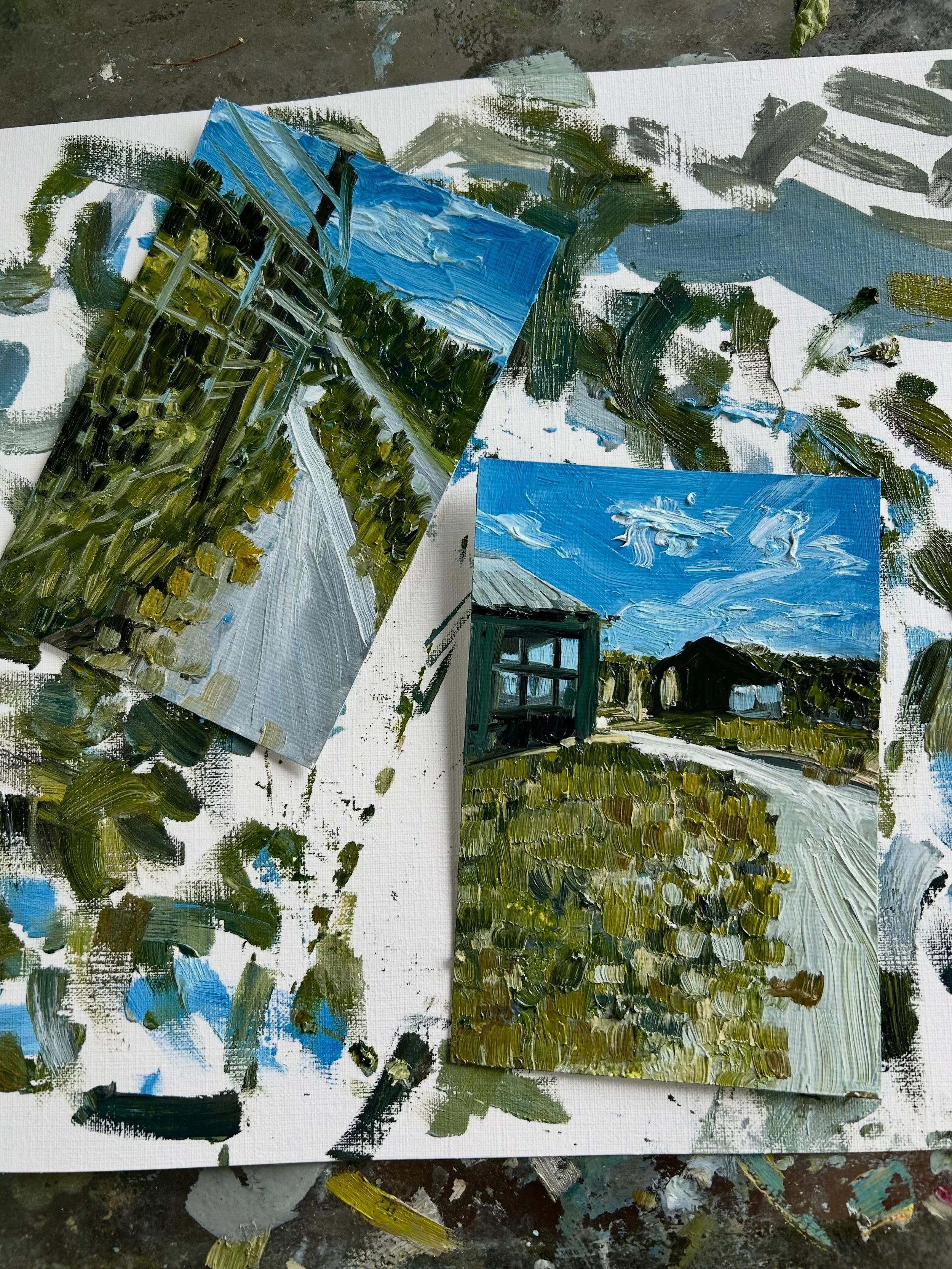 &ldquo;Bike to Farm Club&rdquo;
6&rdquo; x 4&rdquo;
Set of 2, oil on paper 
$40.00
Ready mid June 
Link in bio!