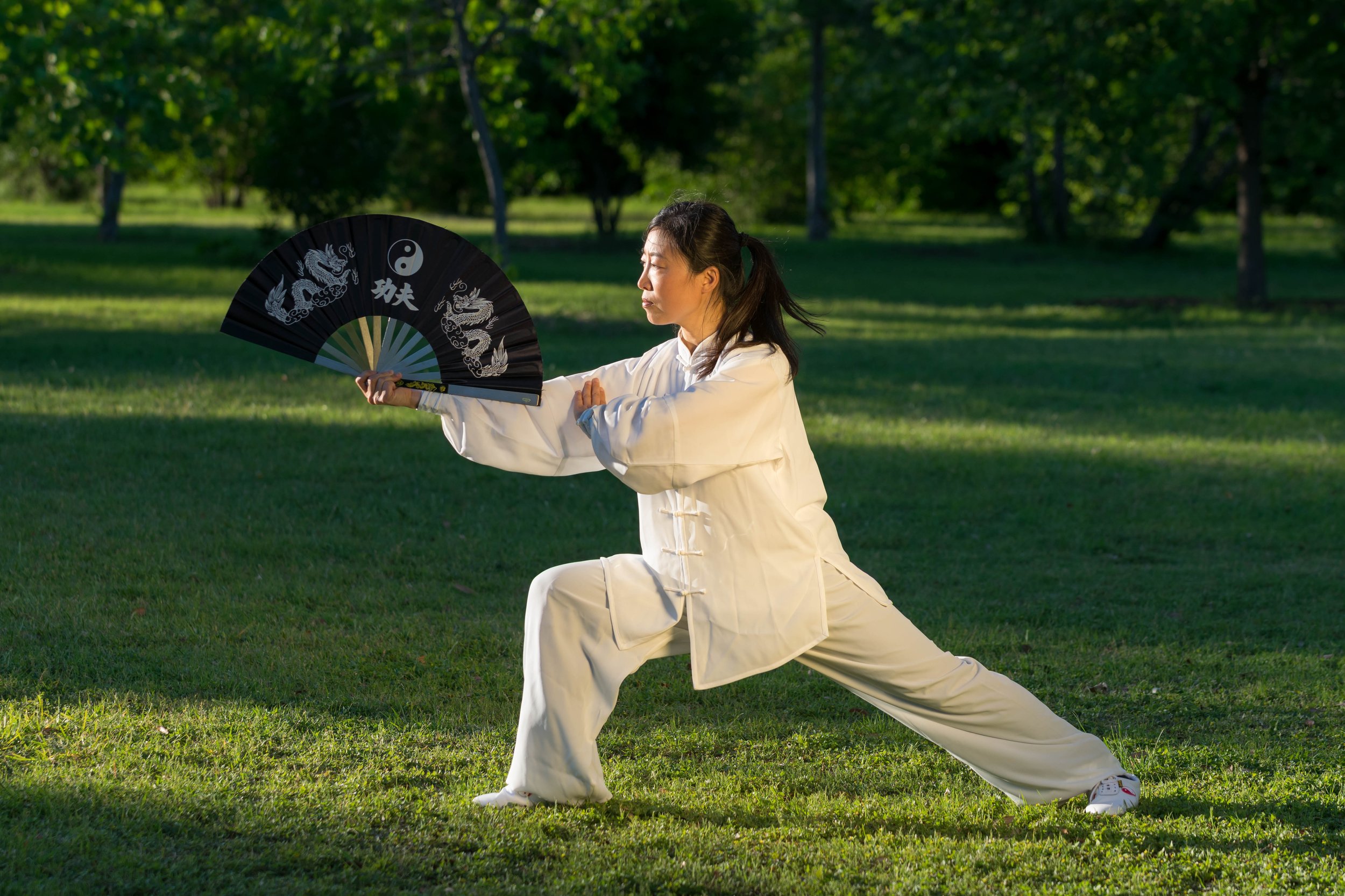 Aiping Tai Chi Austin - Authentic Tai Chi Lessons in the Austin Area