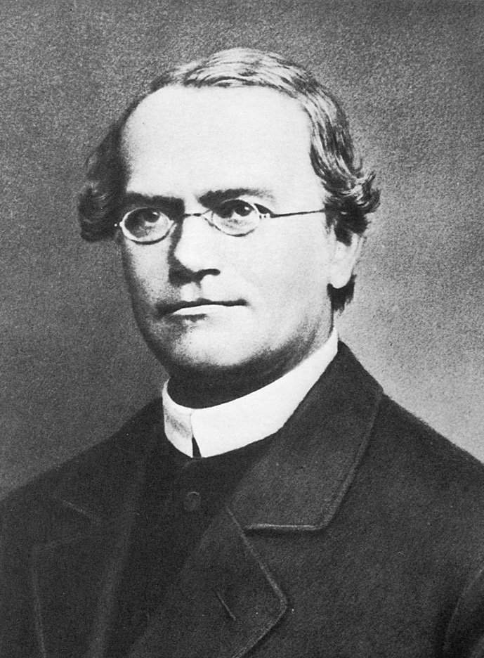 Gregor Mendel (1822-1884)