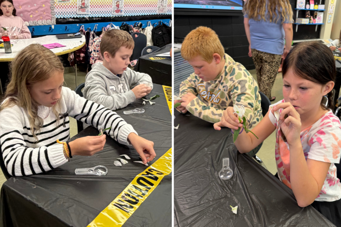  Under investigation at GR Hampton: Students in Mrs. Gray’s class took a close look at plant structures used for reproduction. 