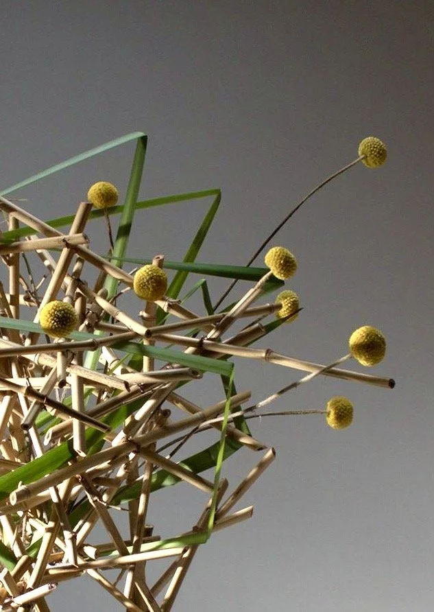 Lucia Pierelli artista Ikebana scuola Sogetsu