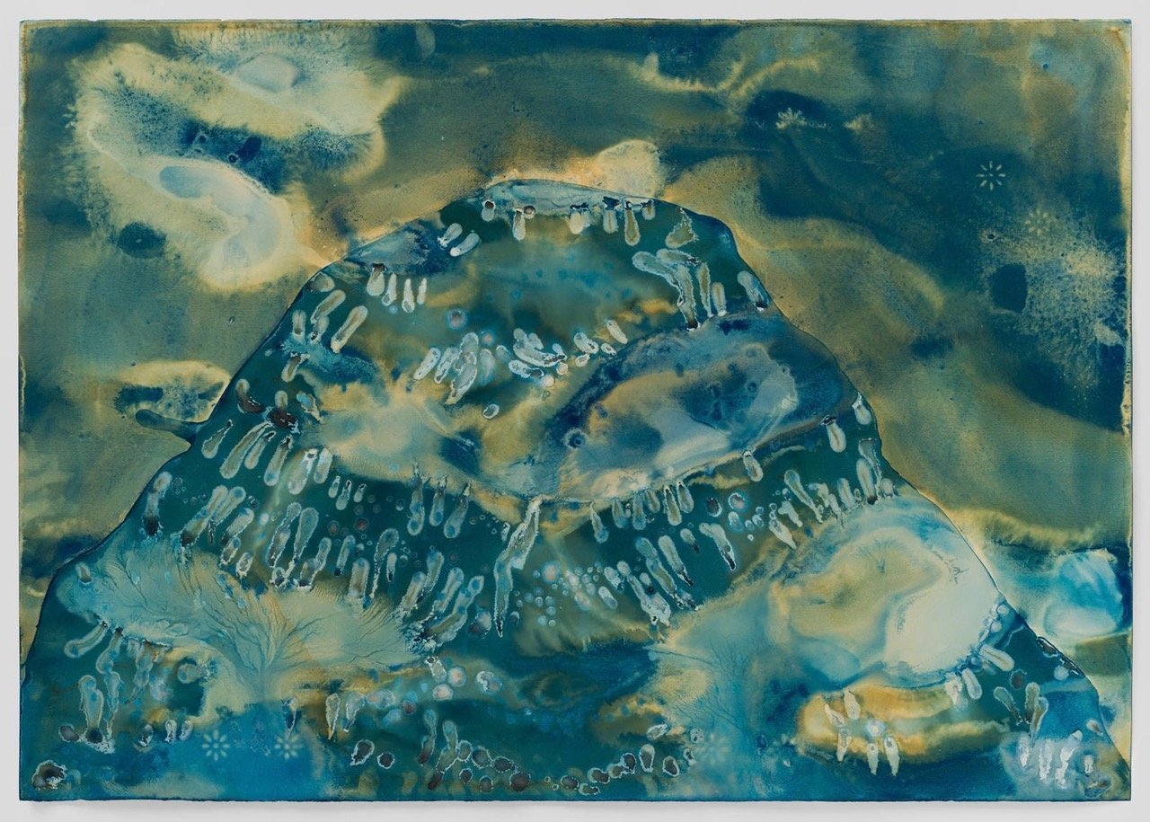 When the Mountain Washed Ashore 2024
