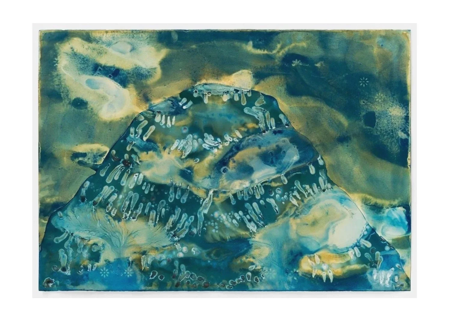 When the Mountain Washed Ashore