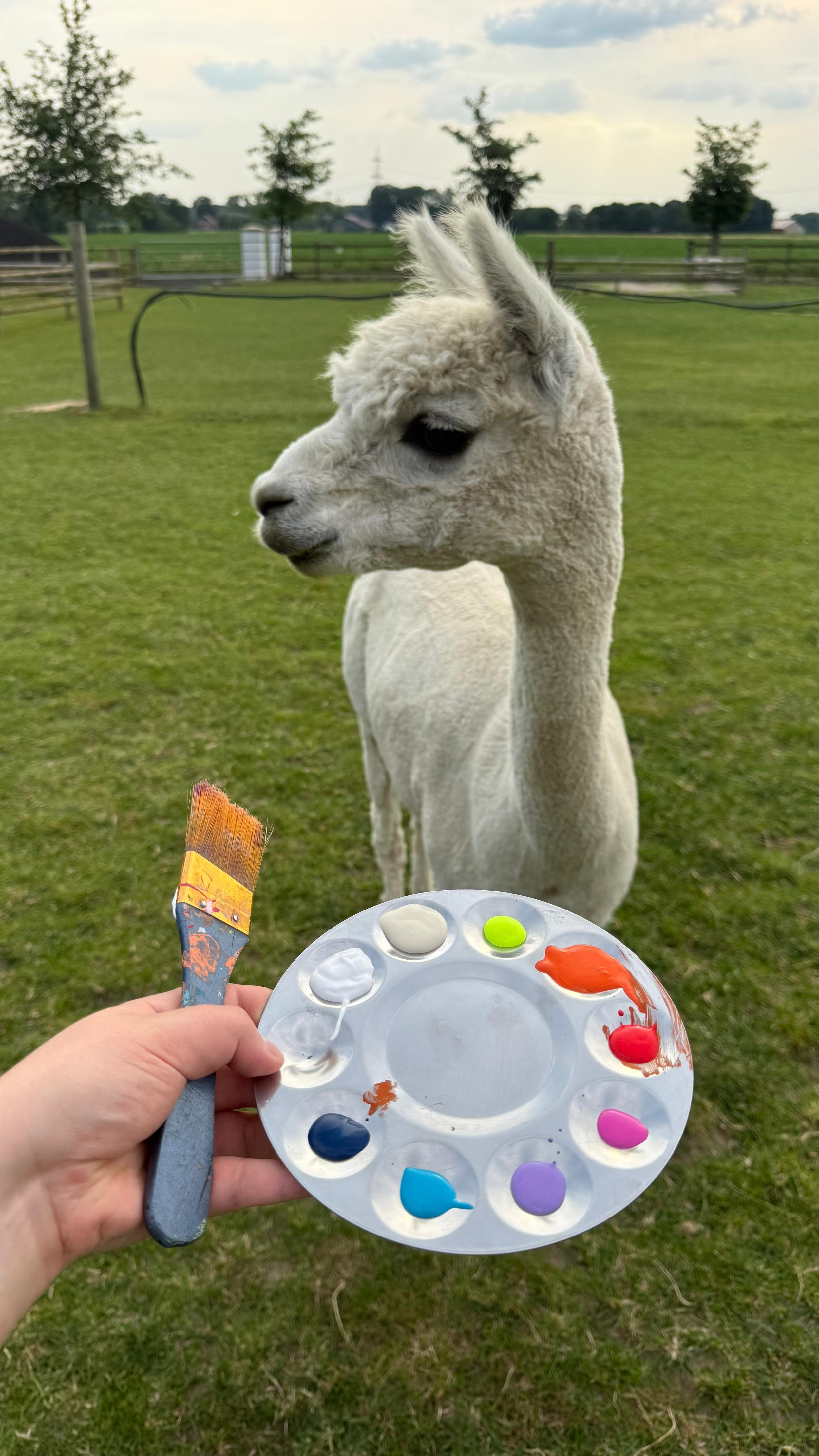 Alpaka mal workshop - kreativ sein mit pr0fessi0neller anleitung