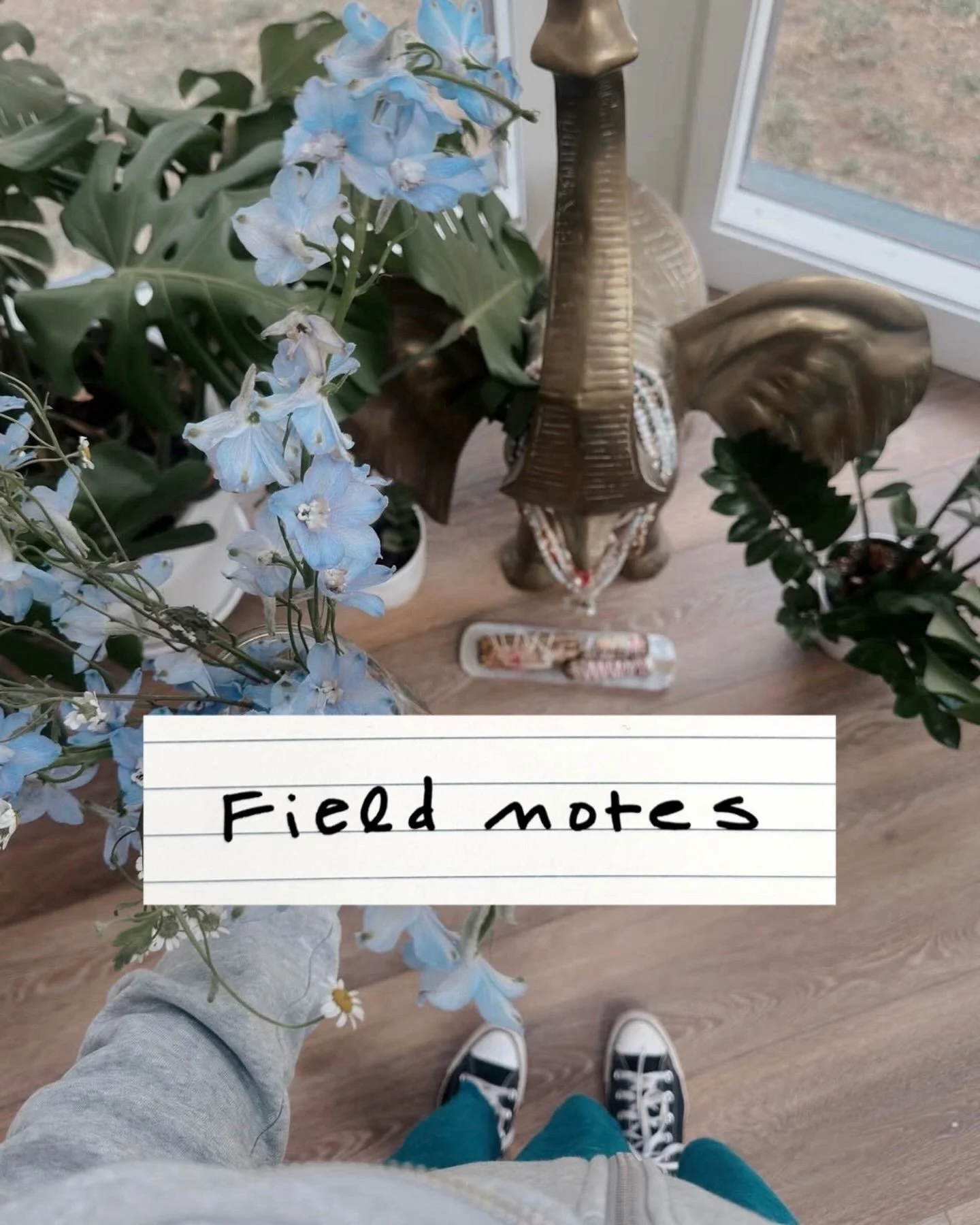 It&rsquo;s wild out there.
Here&rsquo;s some field notes from my everyday life &mdash; things I&rsquo;m noticing, loving, collecting and pondering lately.