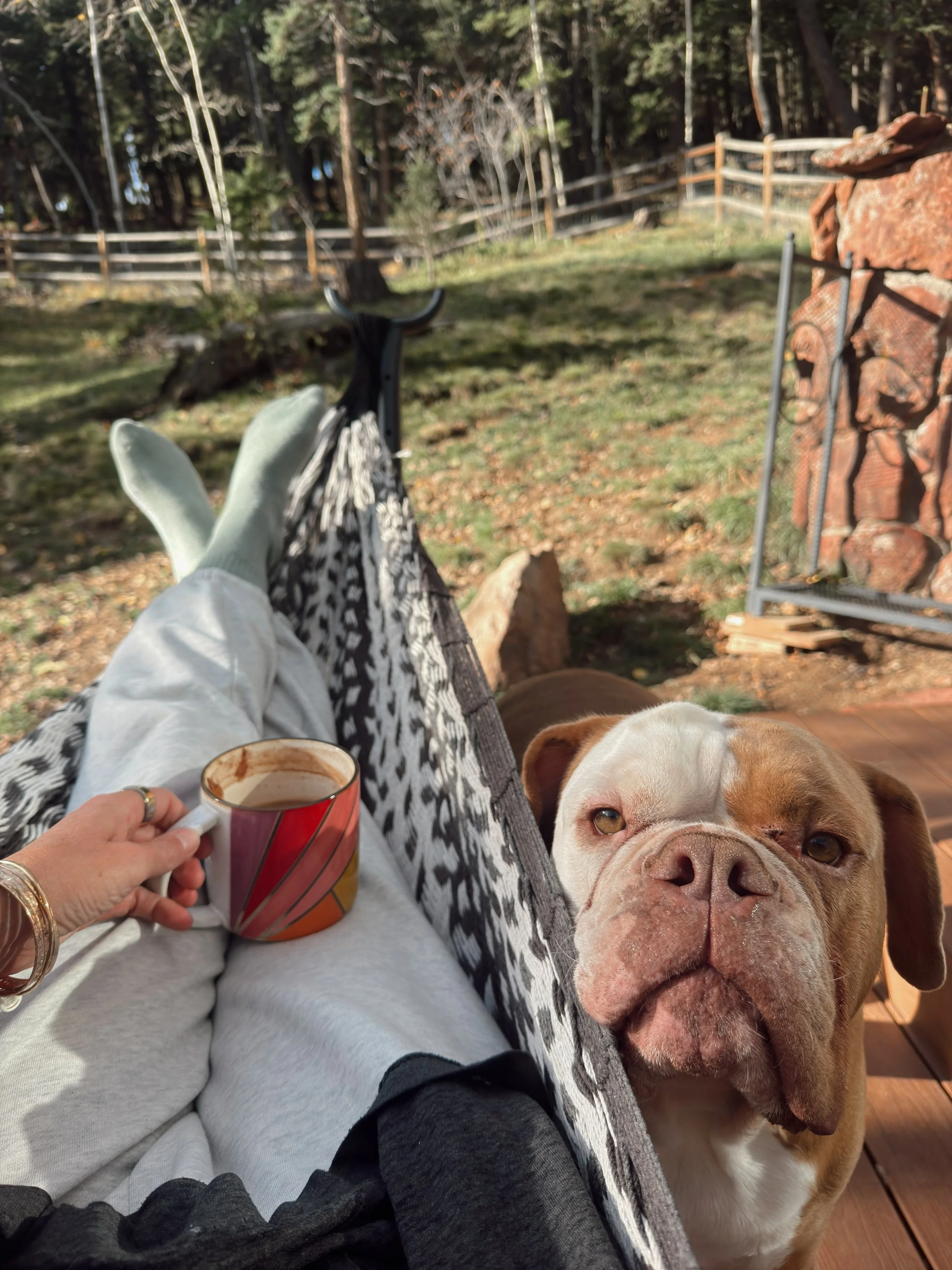 Moving to the mountains over six years ago brought me back into a deeper relationship with the seasons.

That first year or so, I&rsquo;d say the shift felt more like a shove than a nudge. I was used to moving at my own pace and easing more into the 